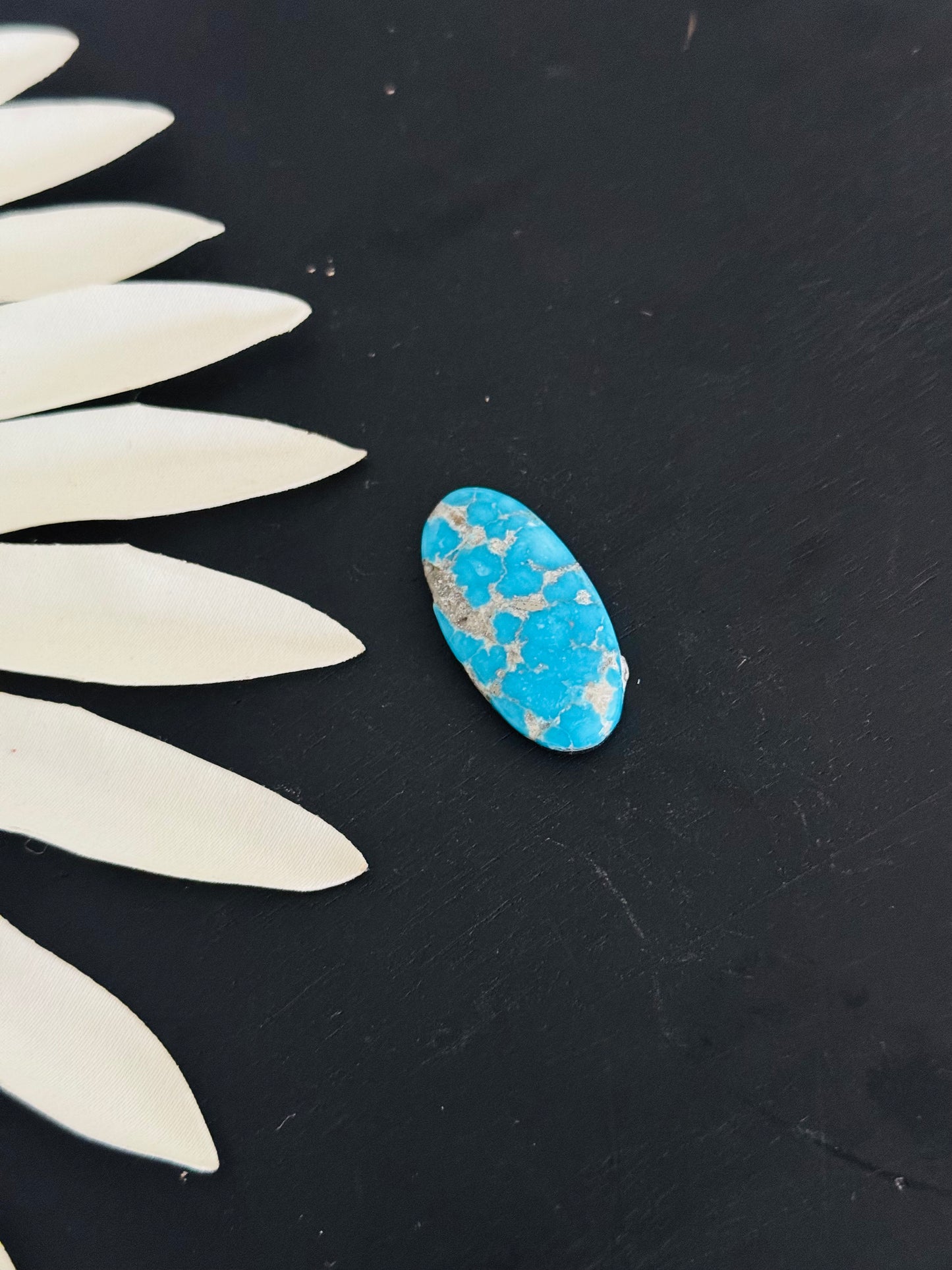 Blue Bird Turquoise Cabs