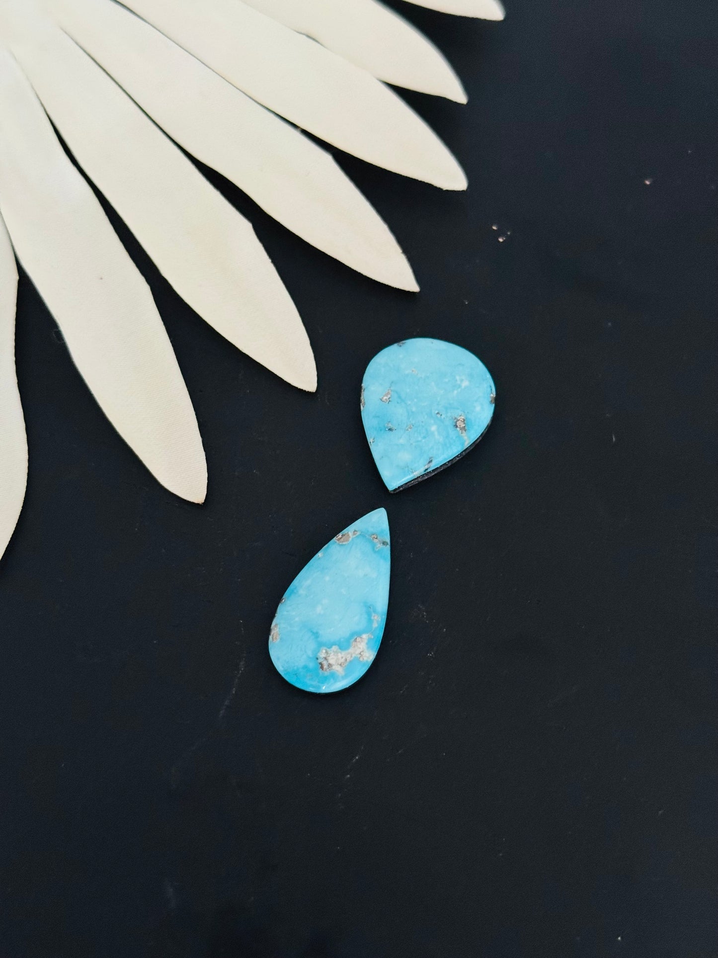 Blue Bird Turquoise Cabs
