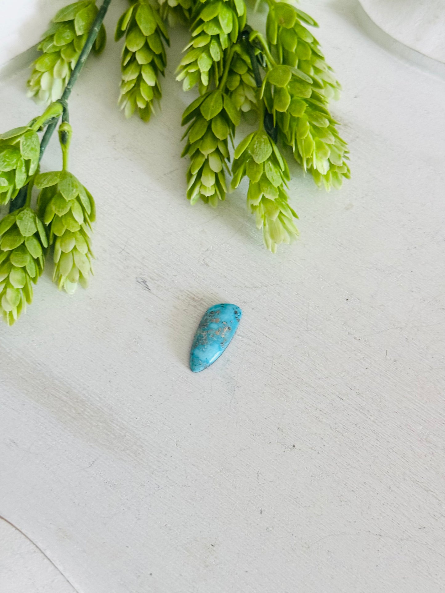 Blue Bird Turquoise Cab