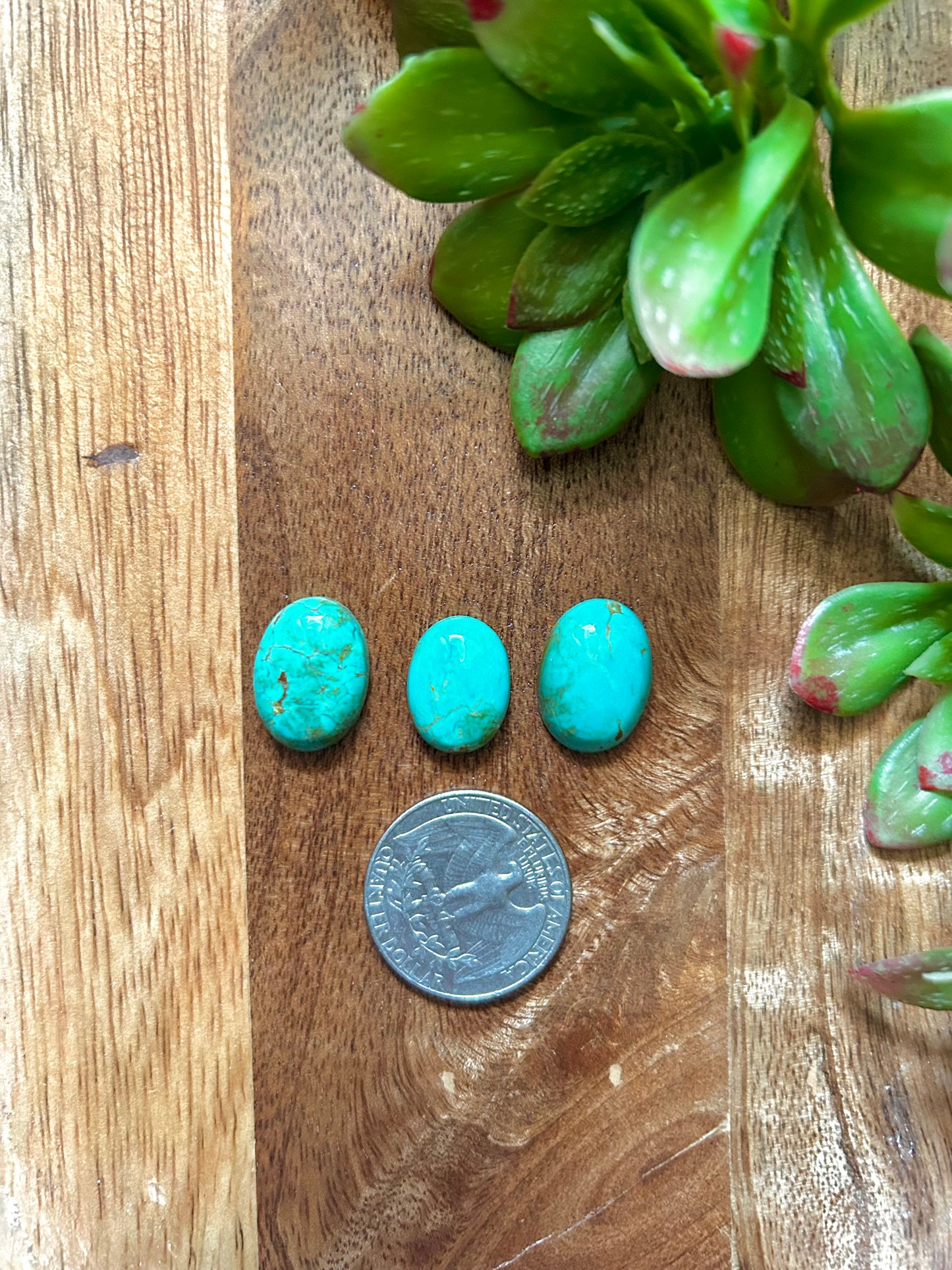 Kingman Turquoise Cabs