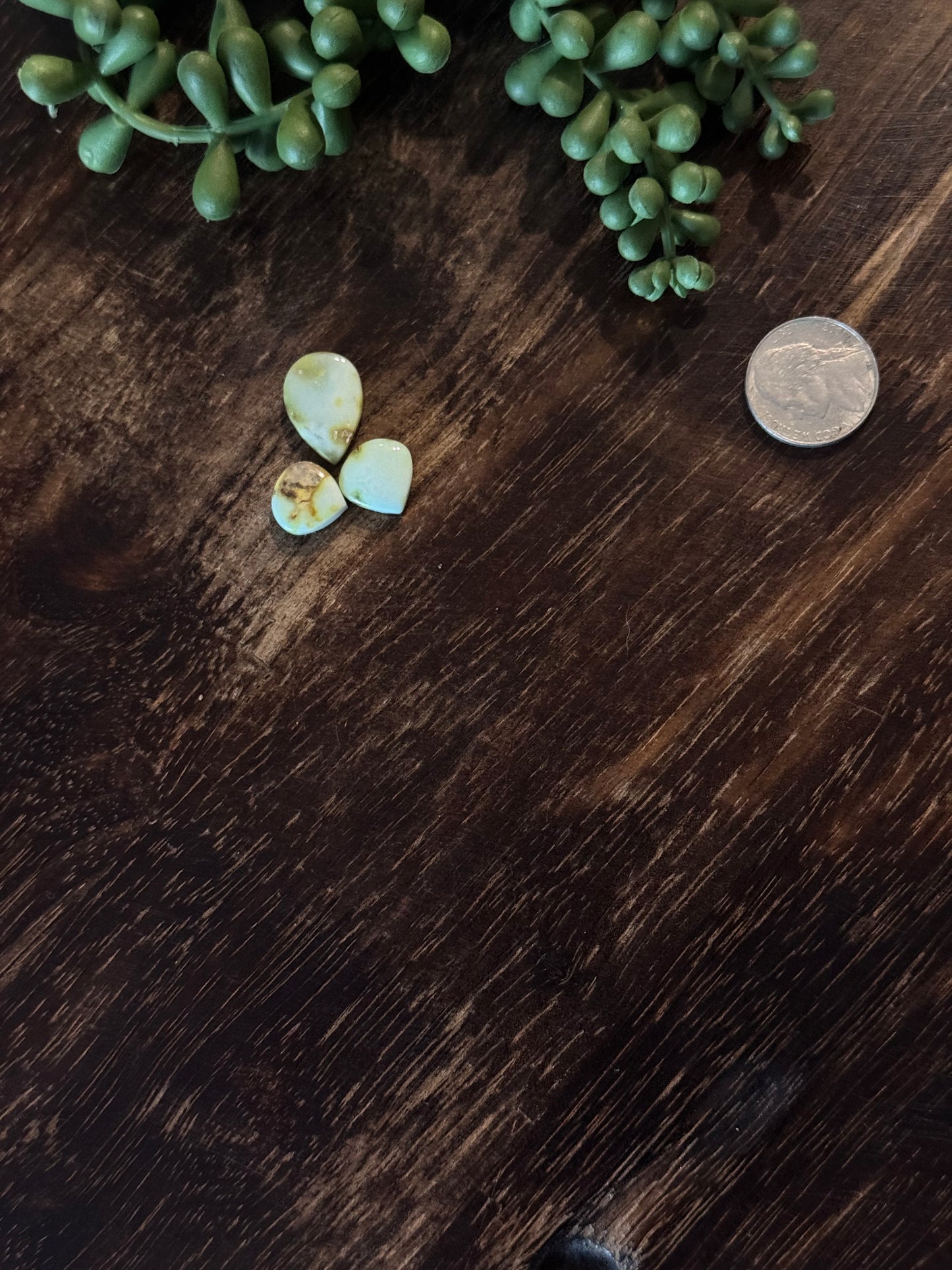 Palomino Variscite Cabs