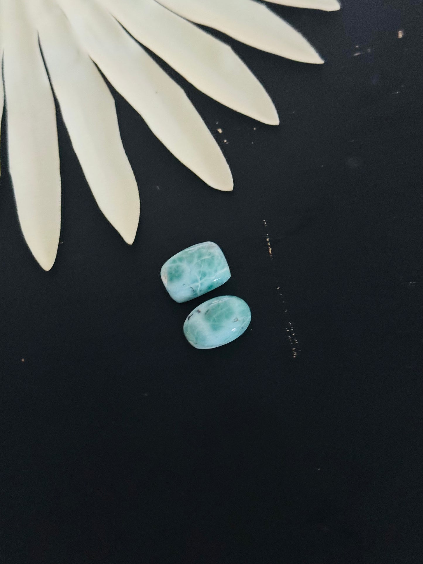 Larimar Cabs