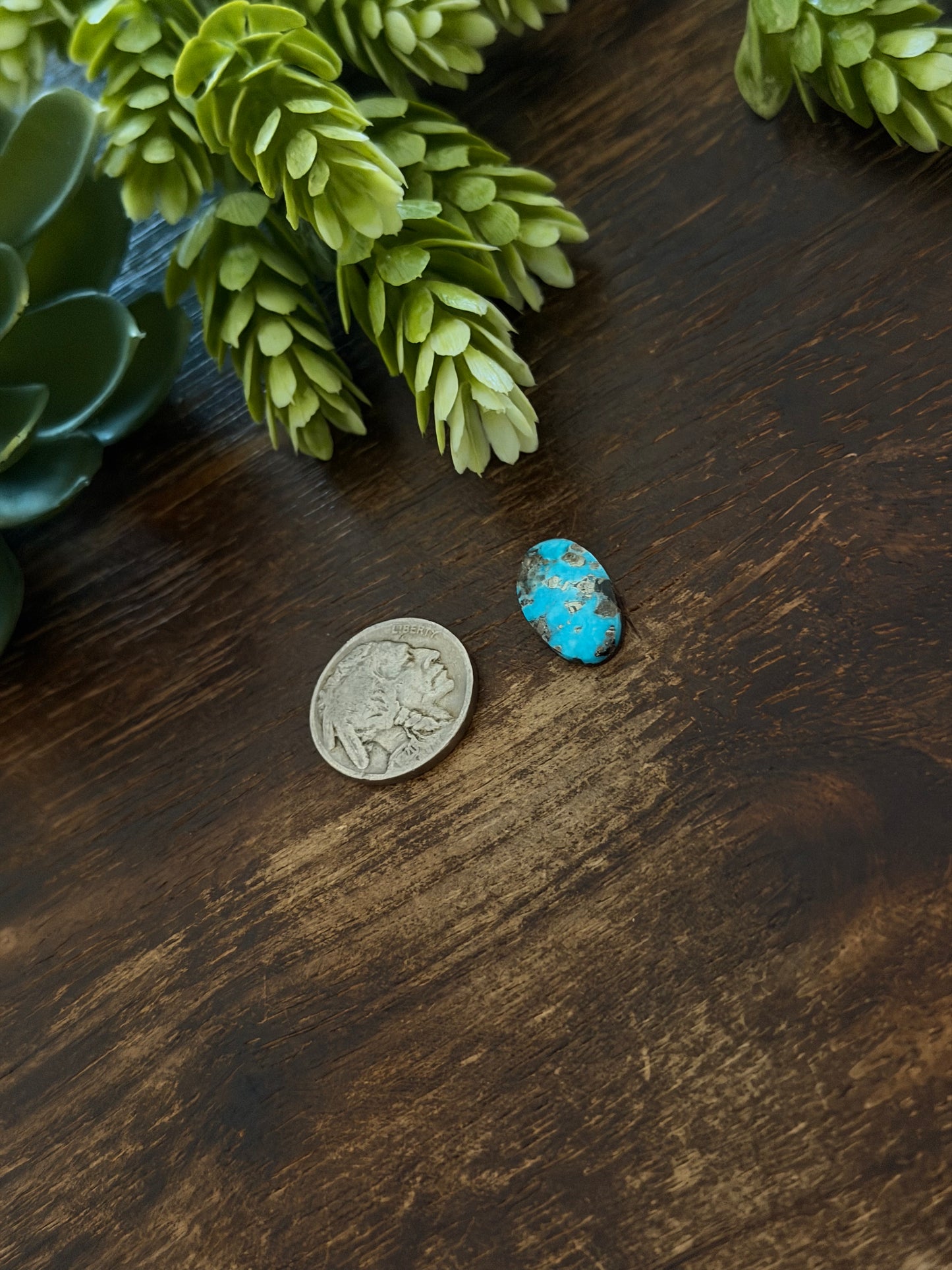 Blue Bird Turquoise Cab