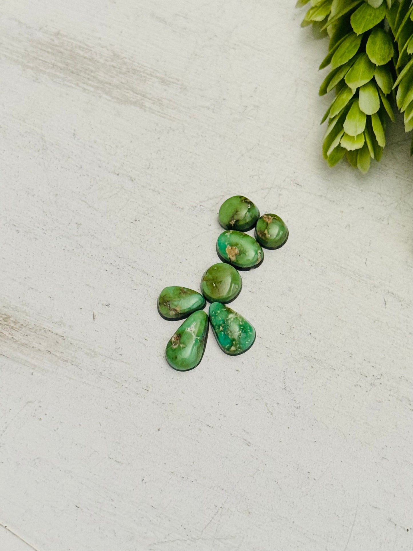 Natural Sonoran Gold Turquoise Cabs