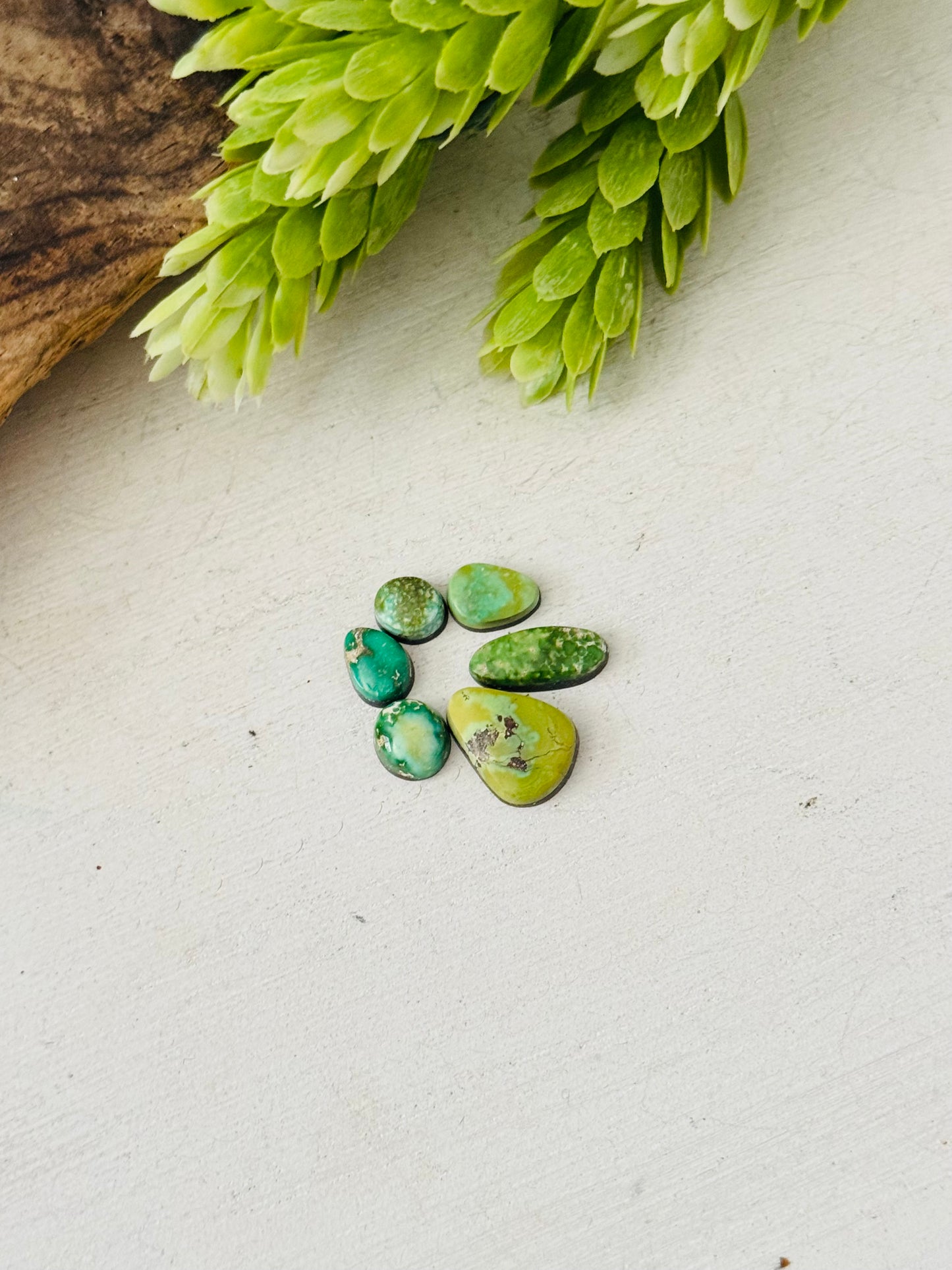 Natural Sonoran Gold Turquoise Cabs