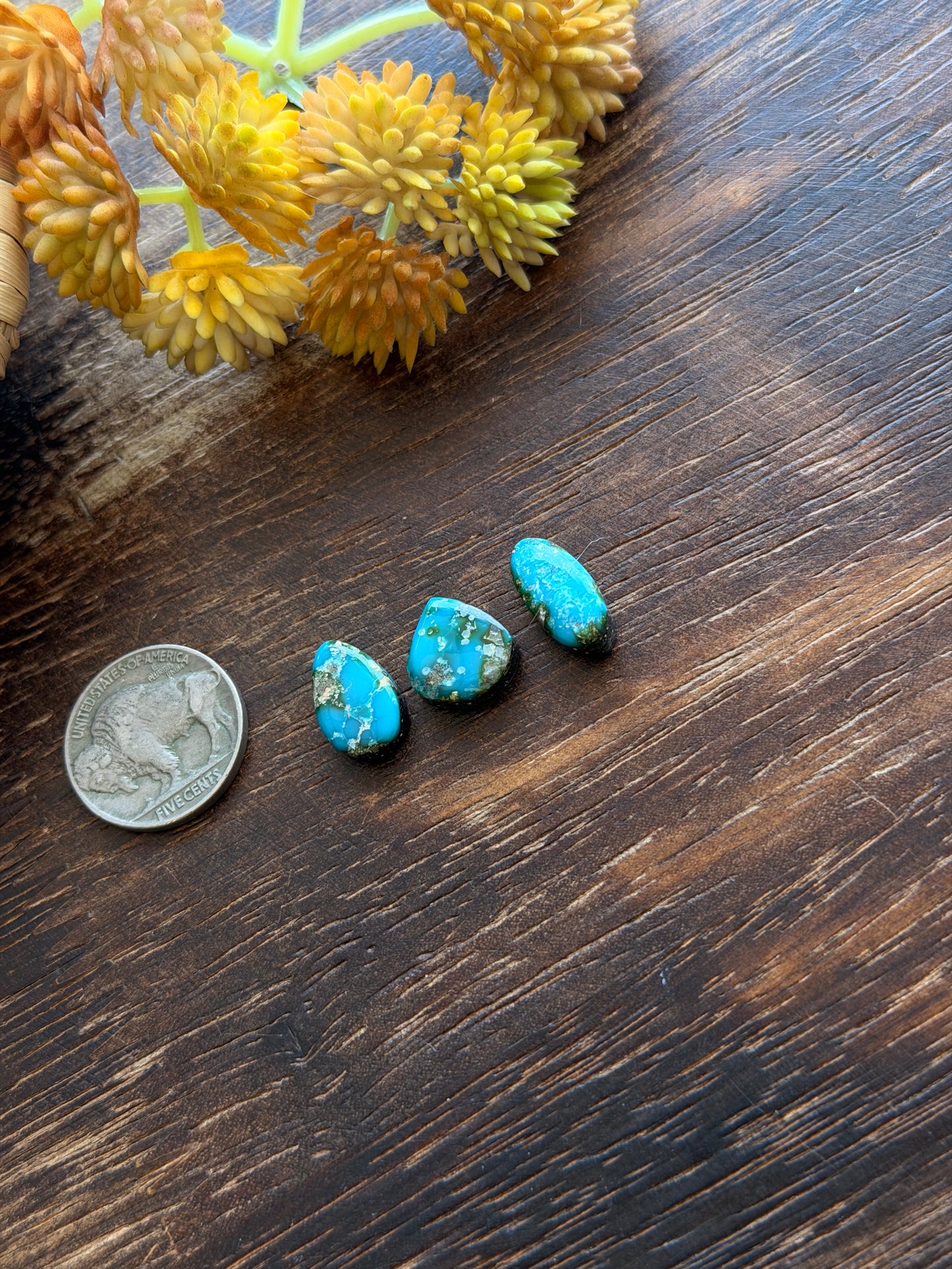 Sonoran Mountain Turquoise Cabs
