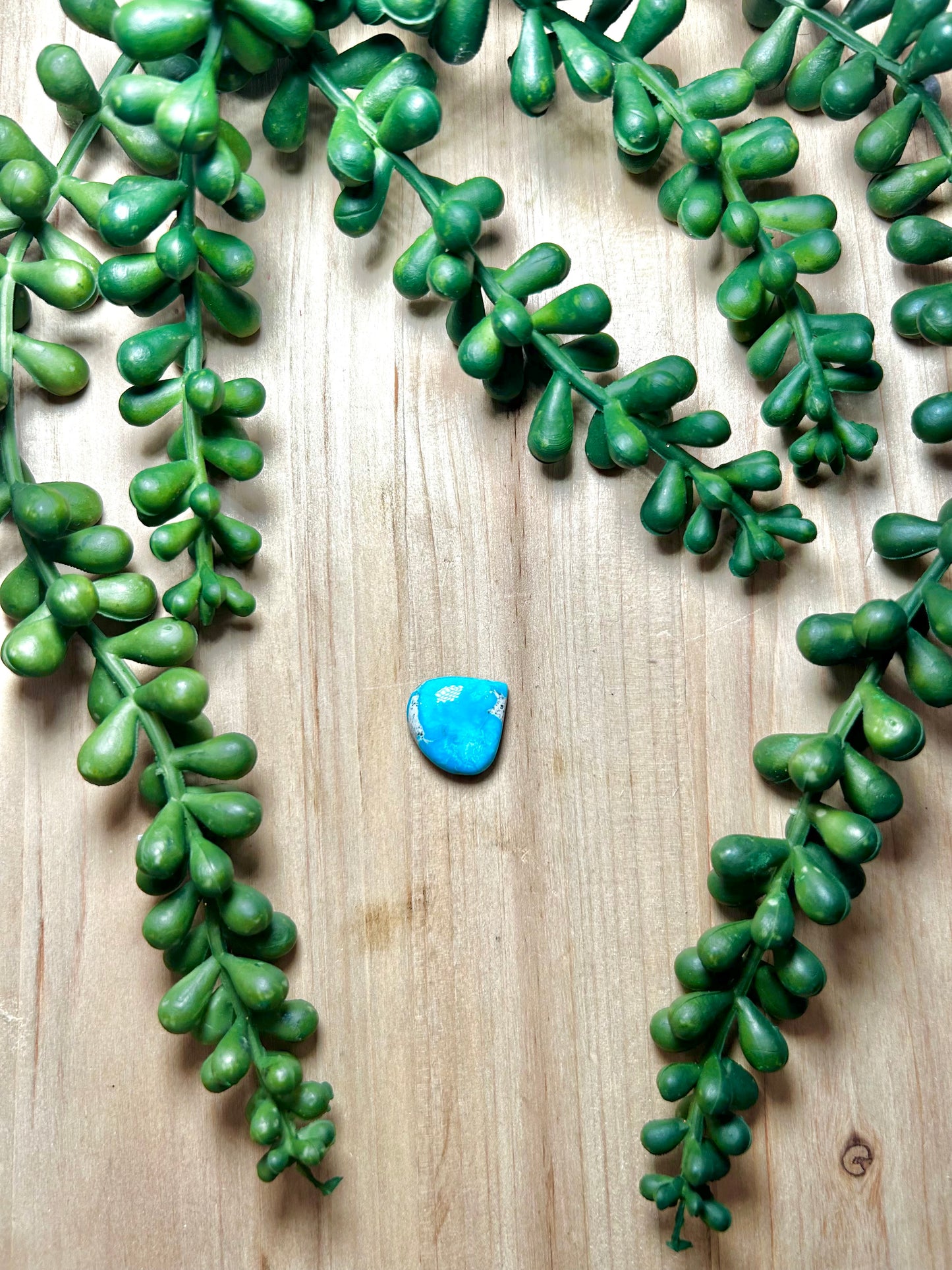 Blue Ridge Turquoise Cab
