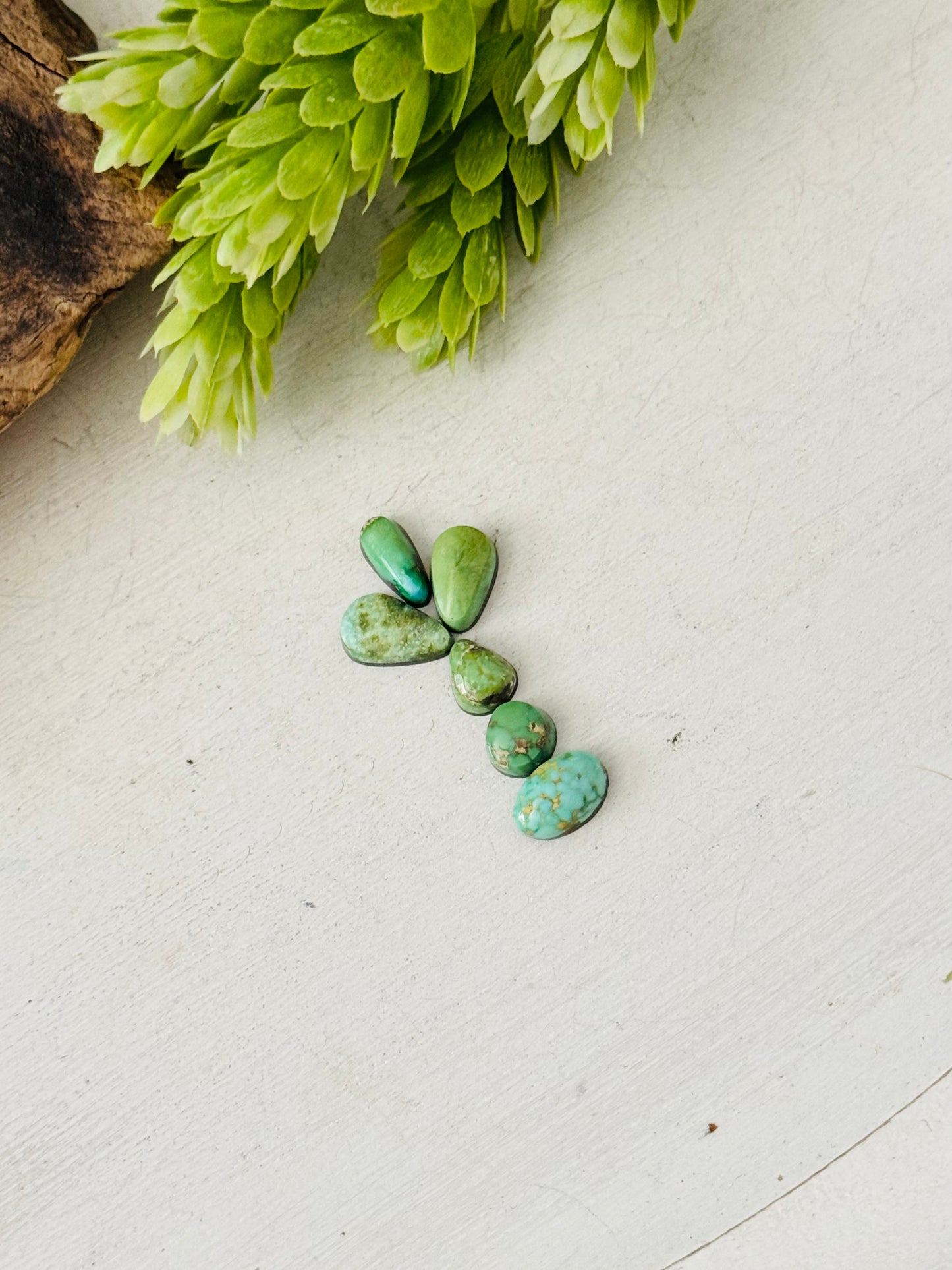 Natural Sonoran Gold Turquoise Cabs
