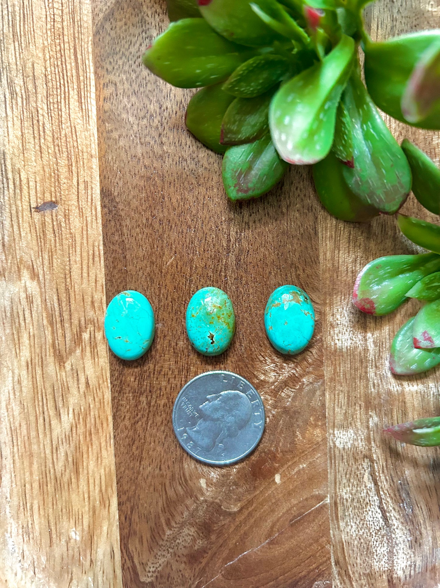 Kingman Turquoise Cabs
