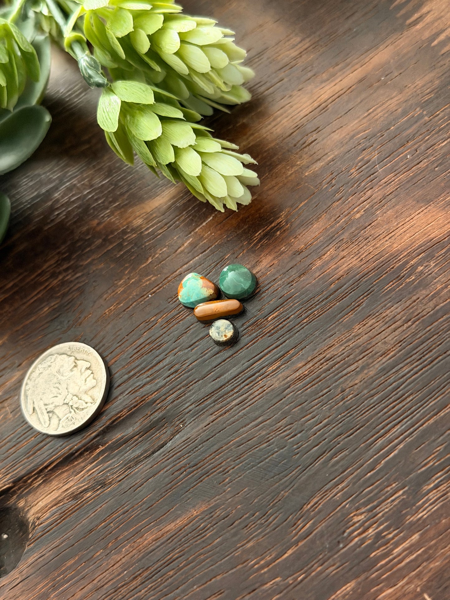 Evans Turquoise Cabs