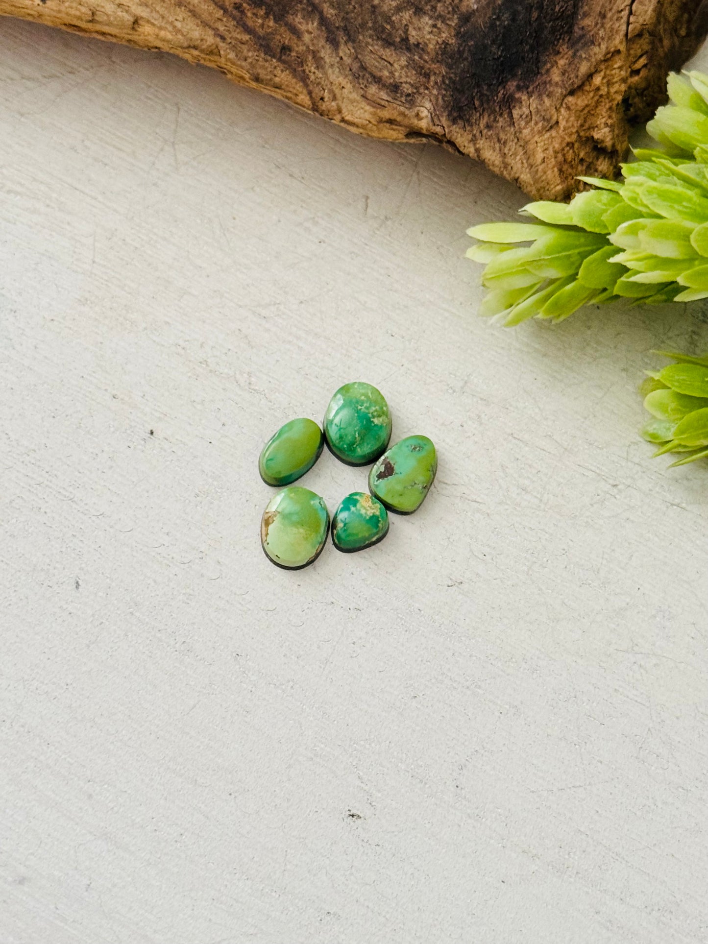 Natural Sonoran Gold Turquoise Cabs