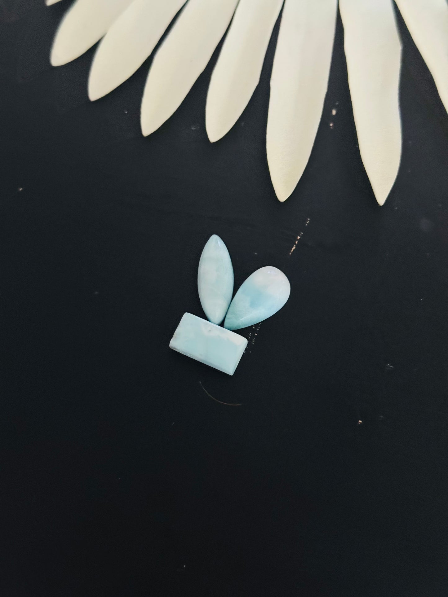 Larimar Cabs