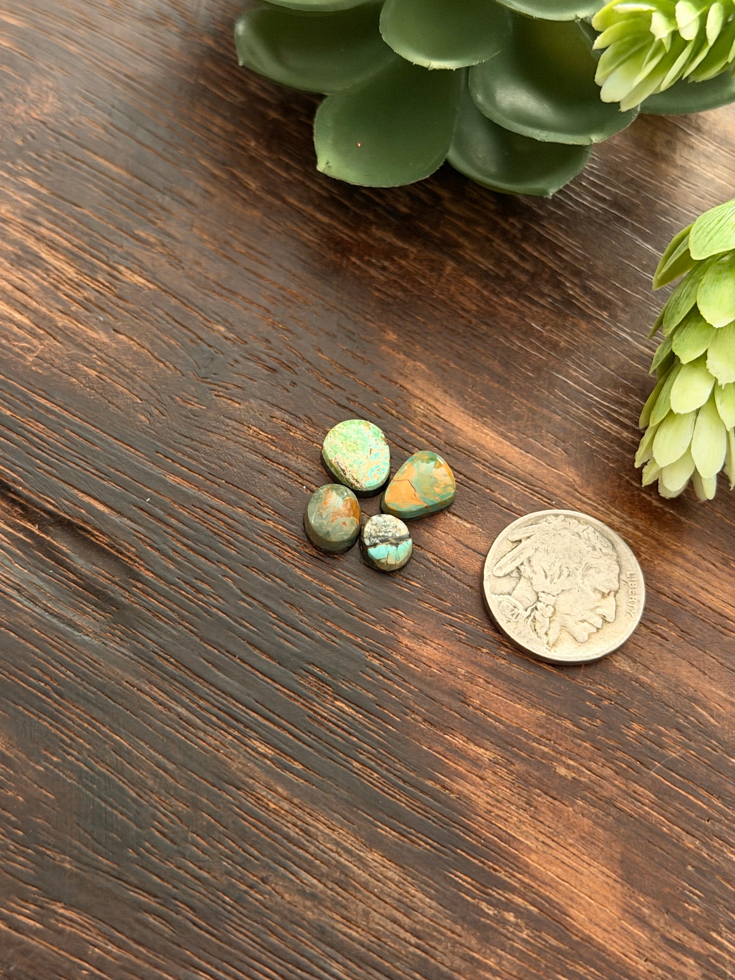 Evans Turquoise Cabs