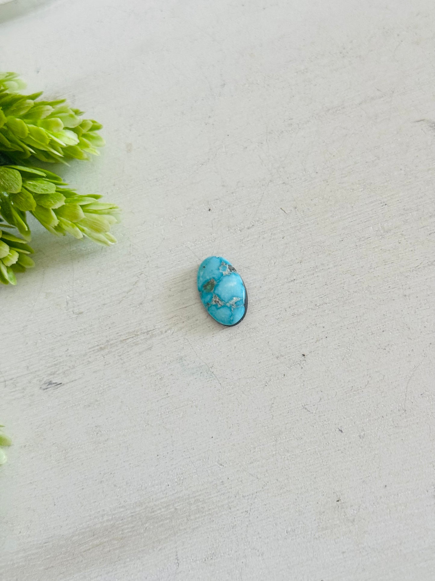 Blue Bird Turquoise Cab