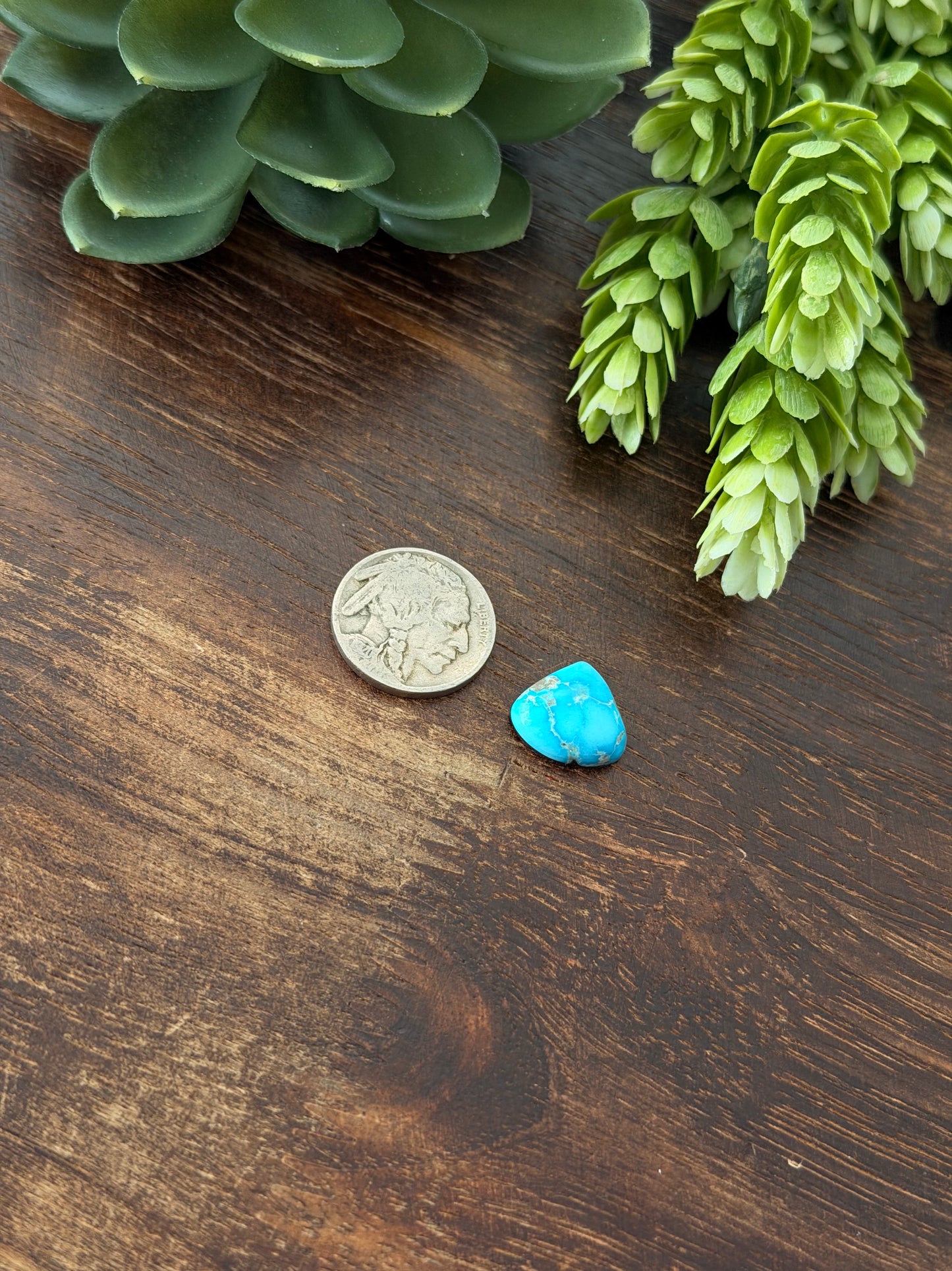 Blue Bird Turquoise Cab