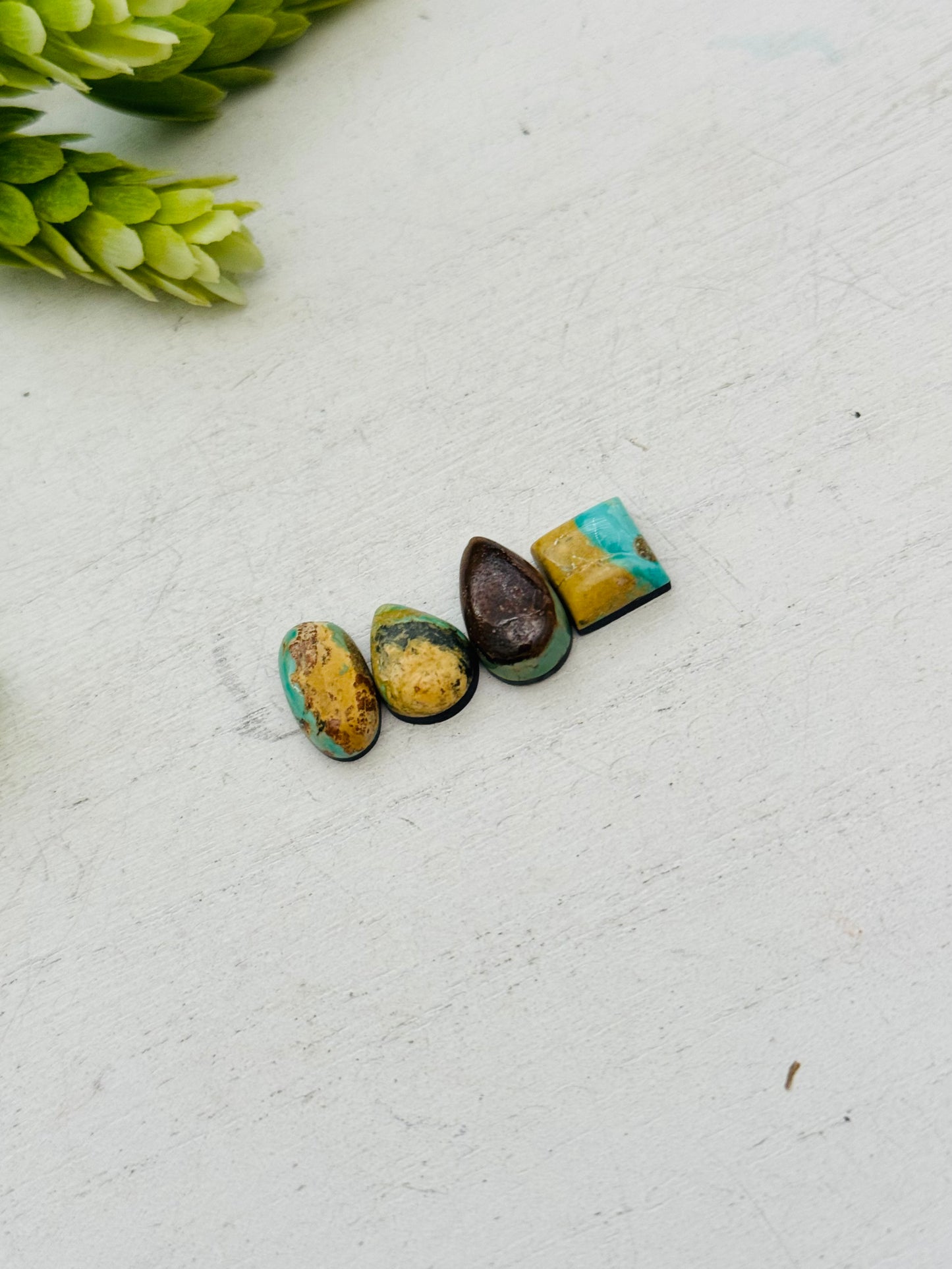 Evans Turquoise Cabs