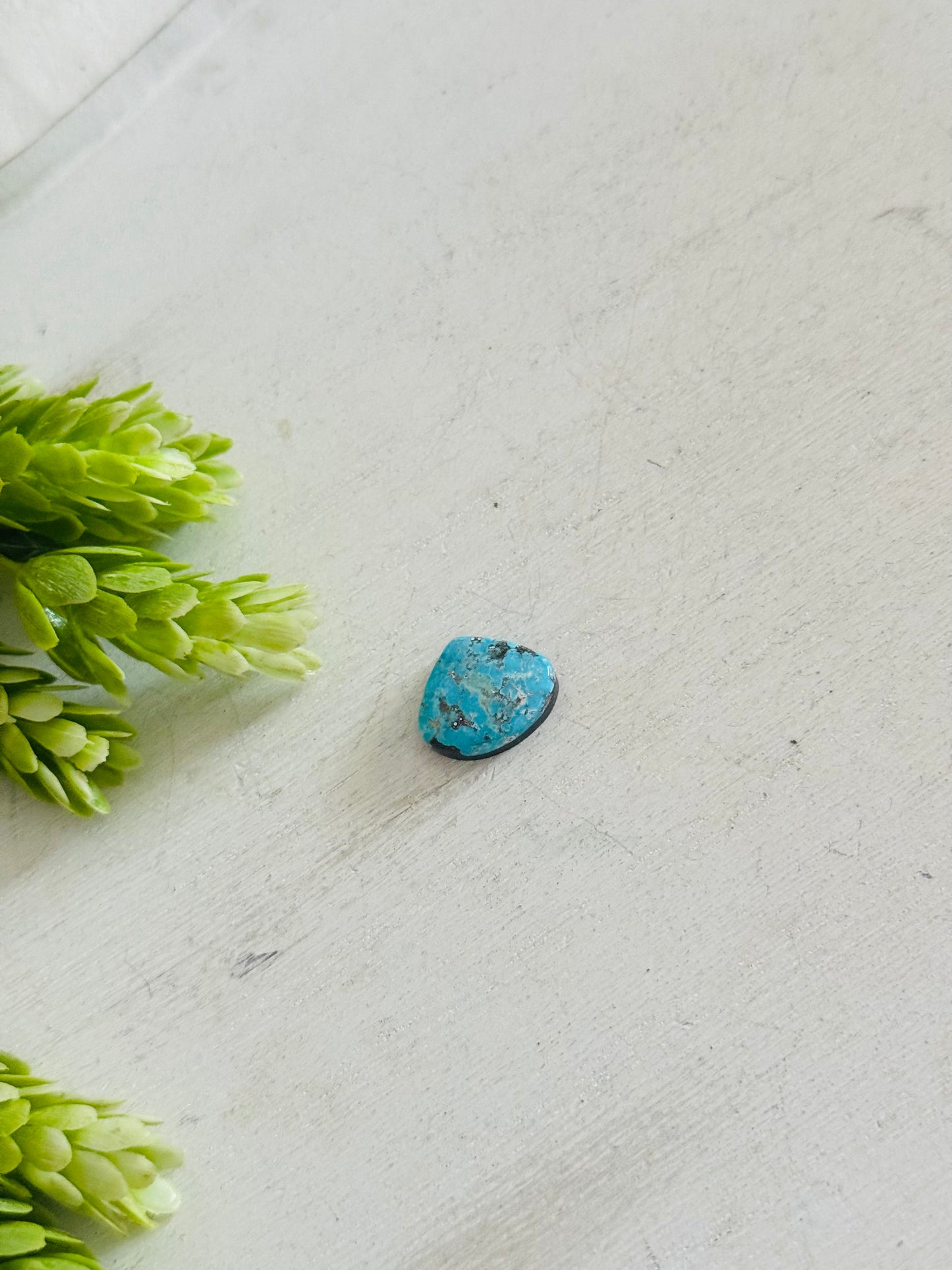 Blue Bird Turquoise Cab