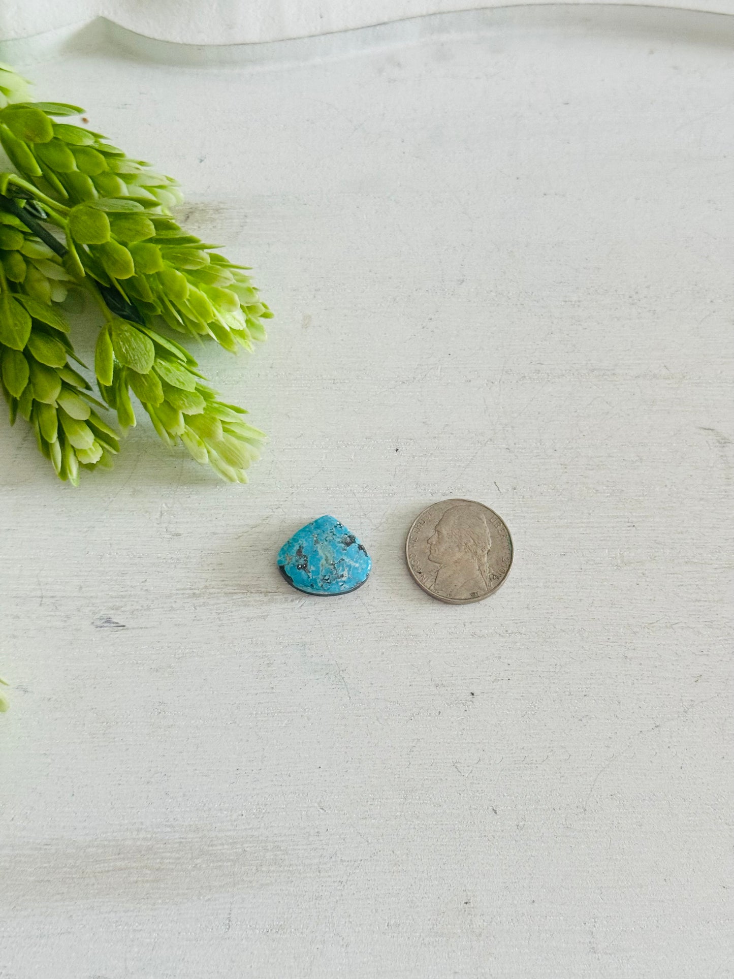 Blue Bird Turquoise Cab