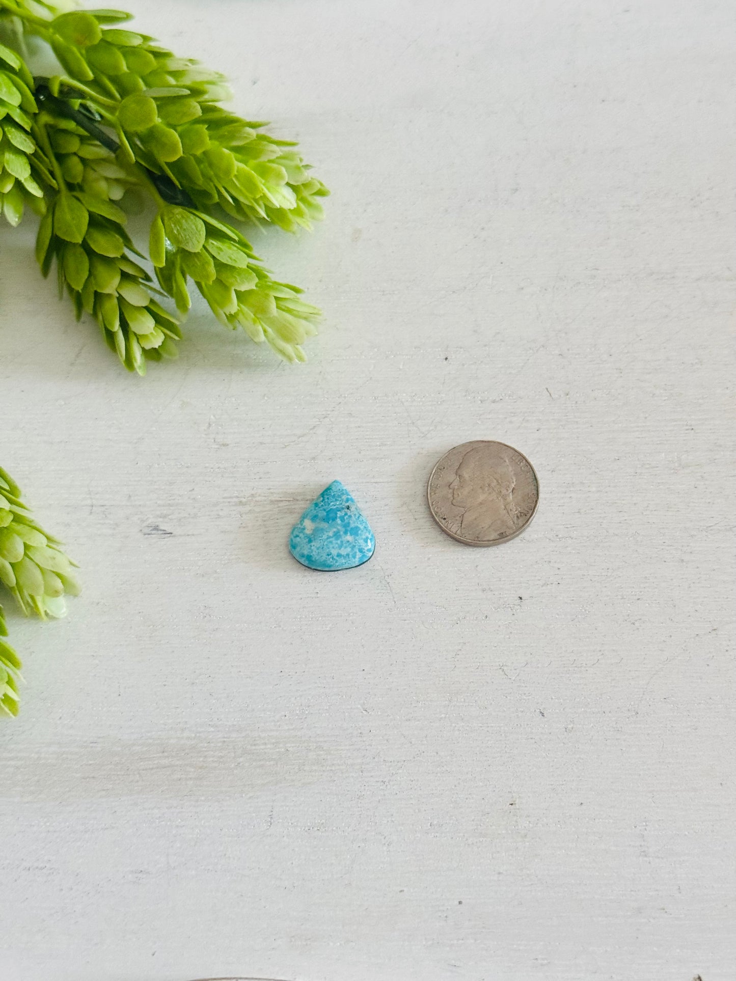 Blue Bird Turquoise Cab