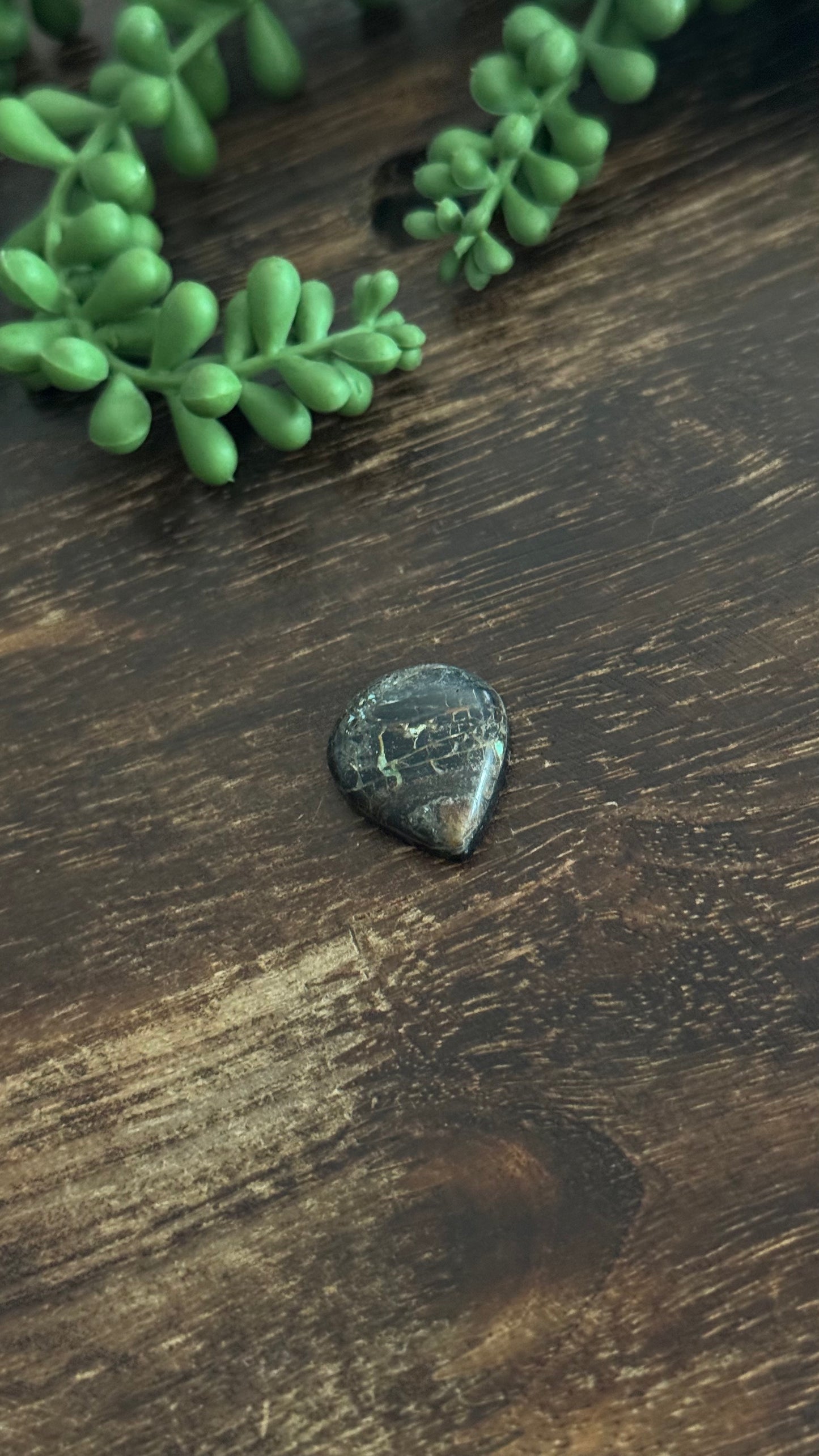 Black Jack Turquoise Cab