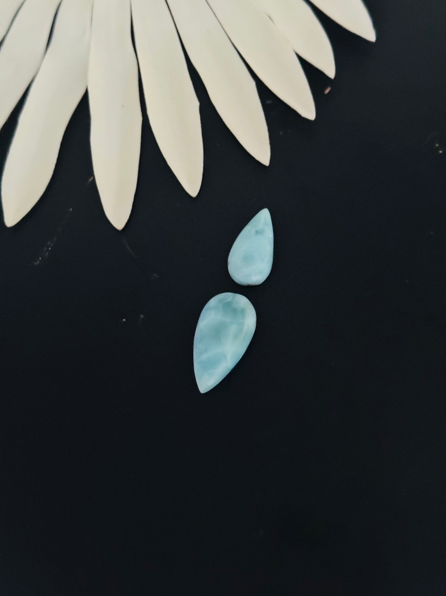 Larimar Cabs
