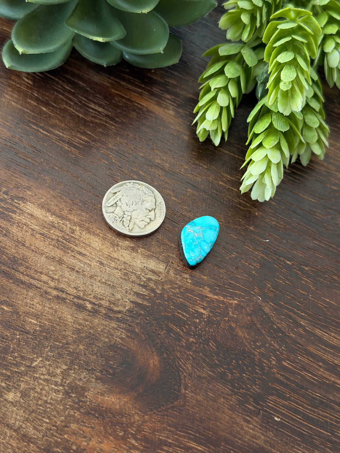 Blue Bird Turquoise Cab