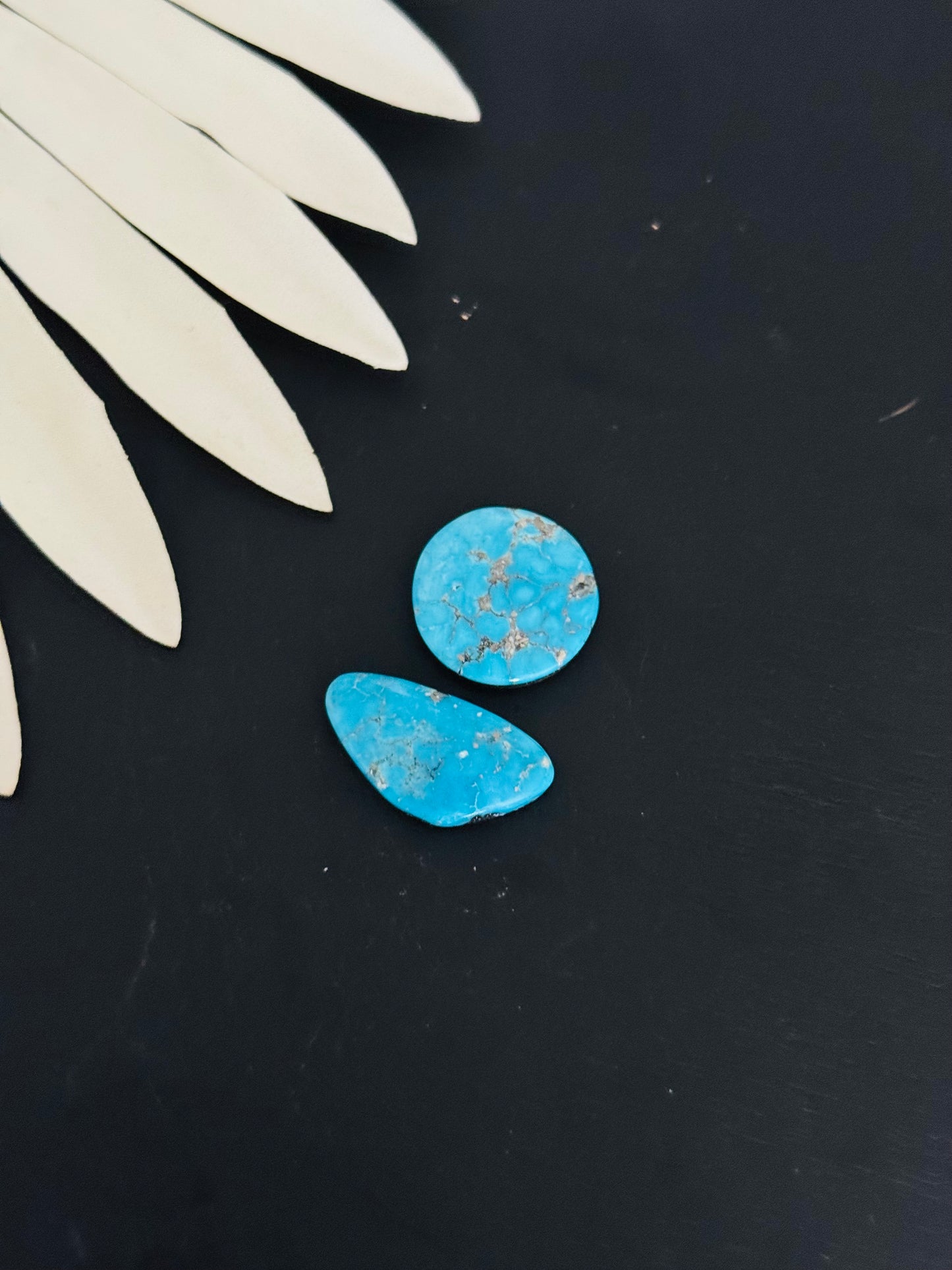 Blue Bird Turquoise Cabs