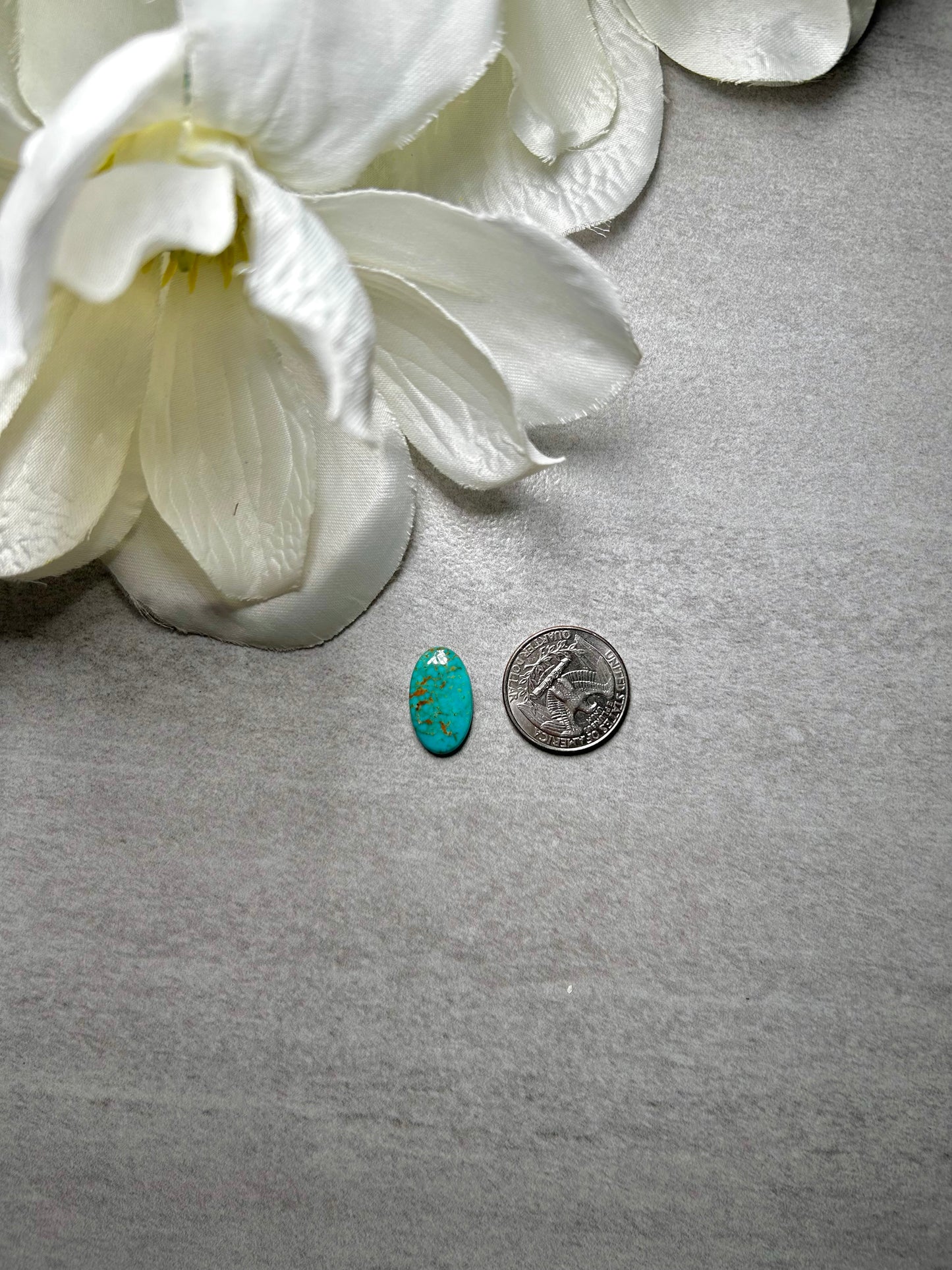 Kingman Turquoise Cab