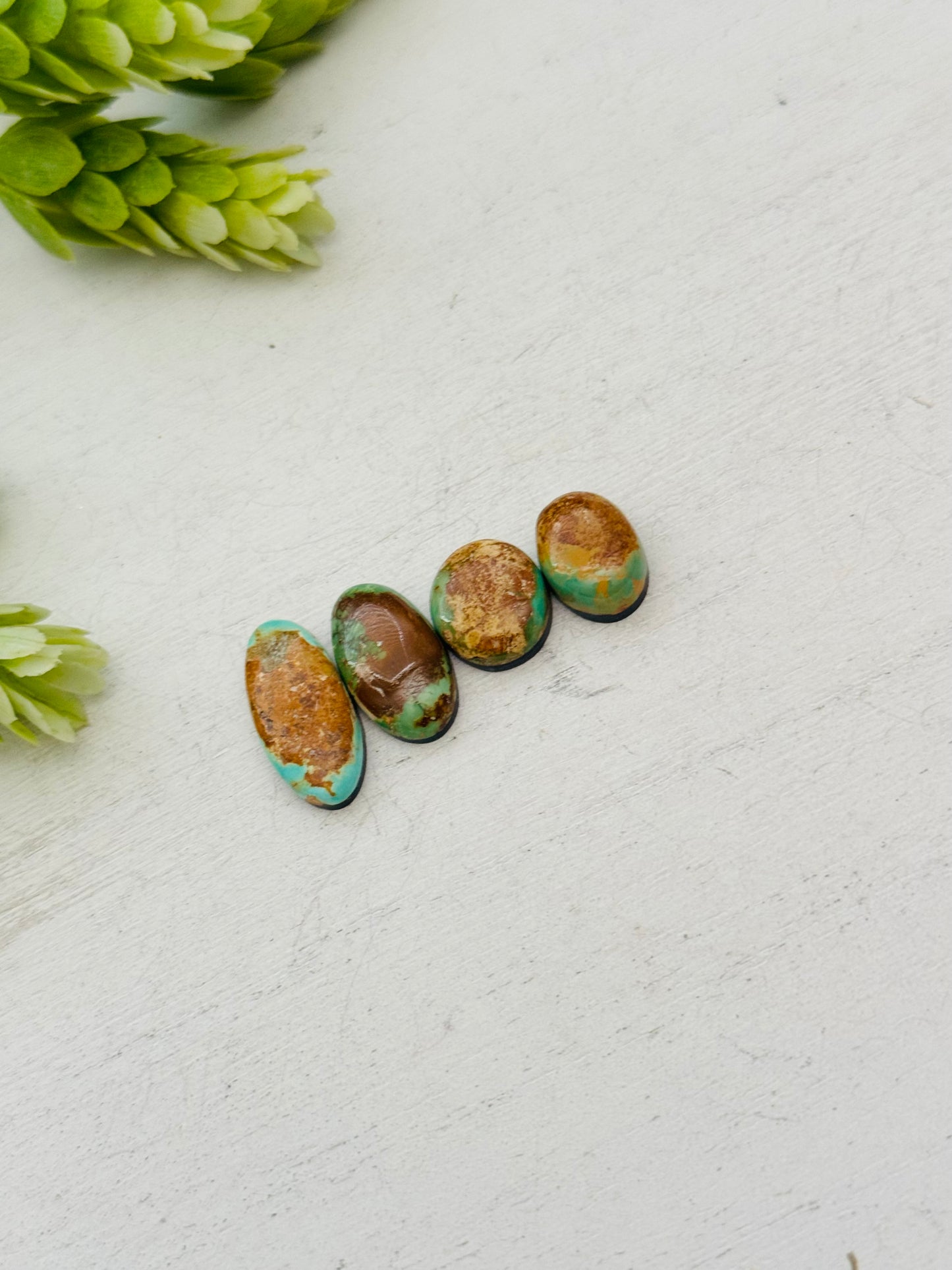 Evans Turquoise Cabs