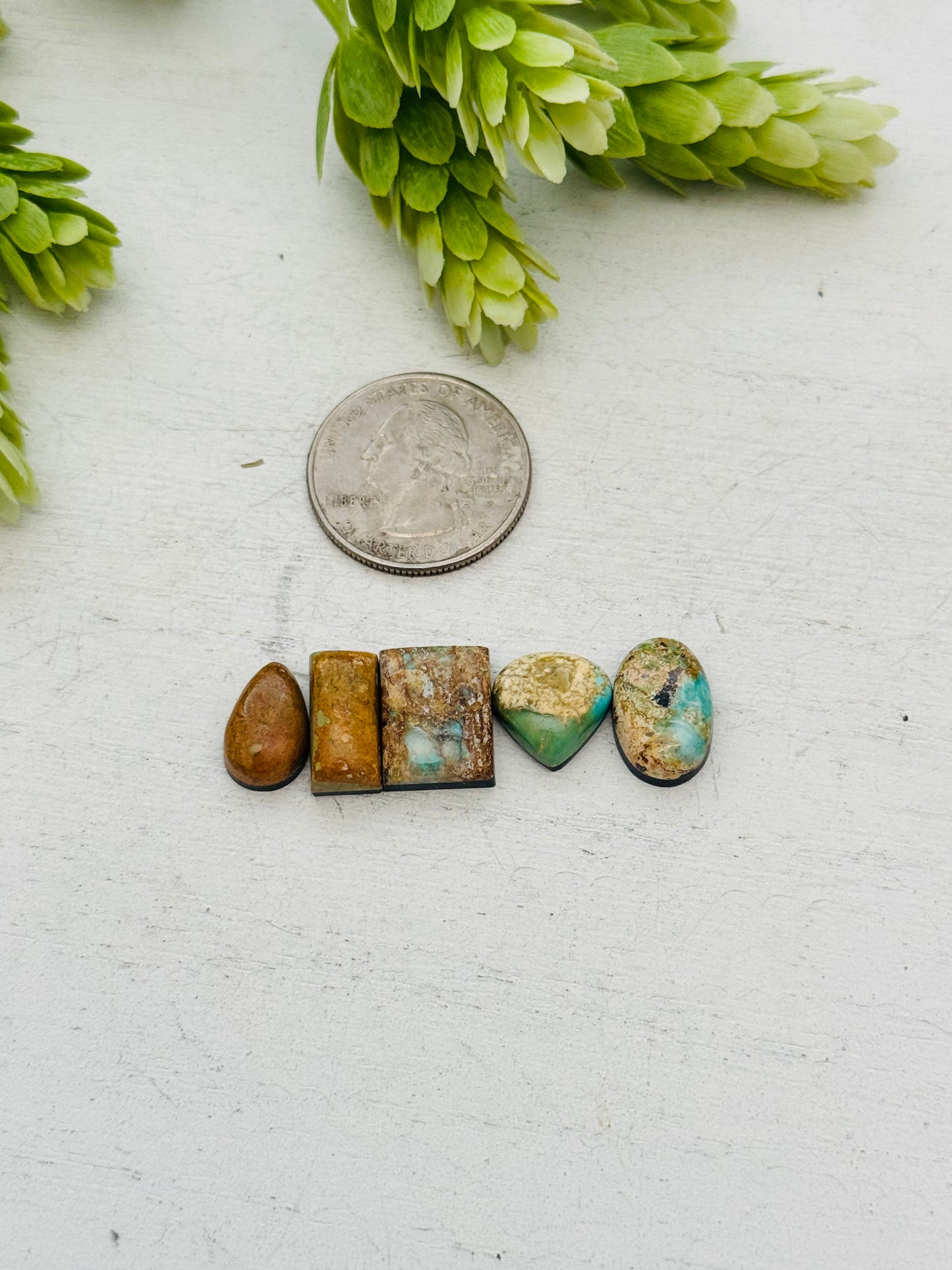 Evans Turquoise Cabs