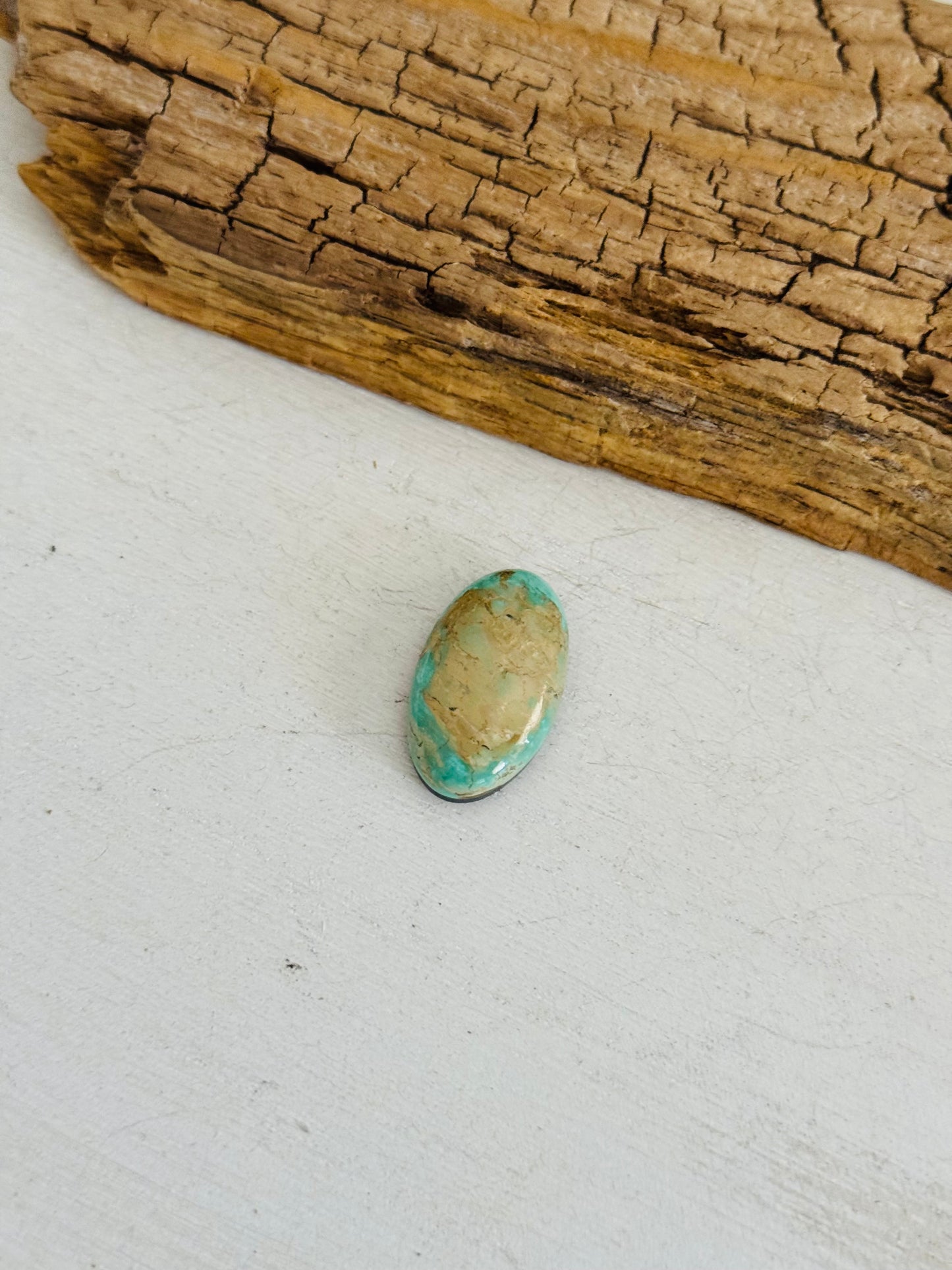 Evans Turquoise Cab