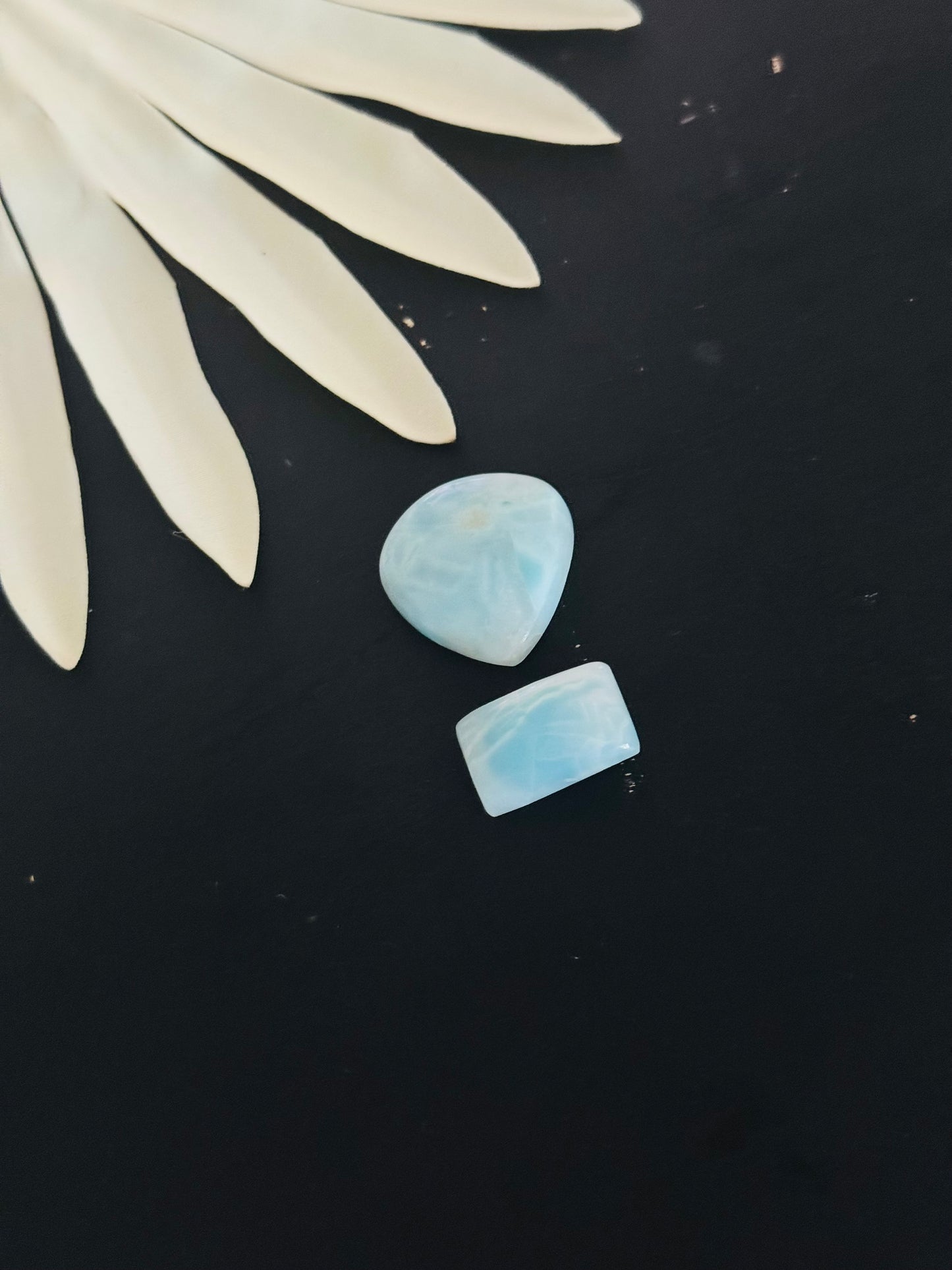 Larimar Cabs