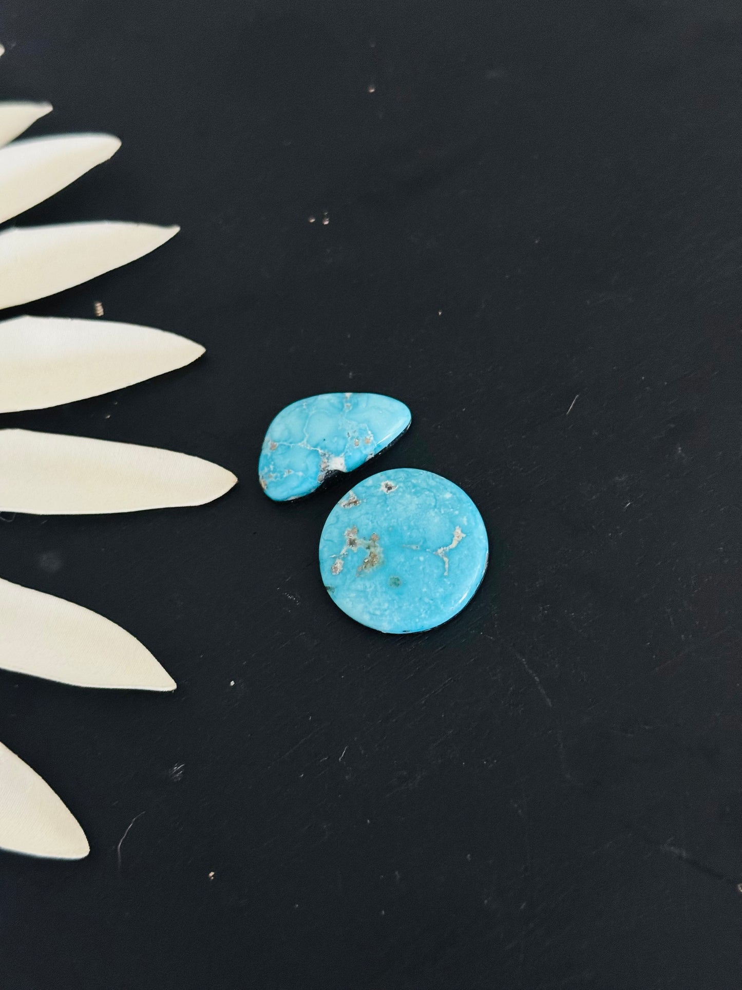 Blue Bird Turquoise Cabs