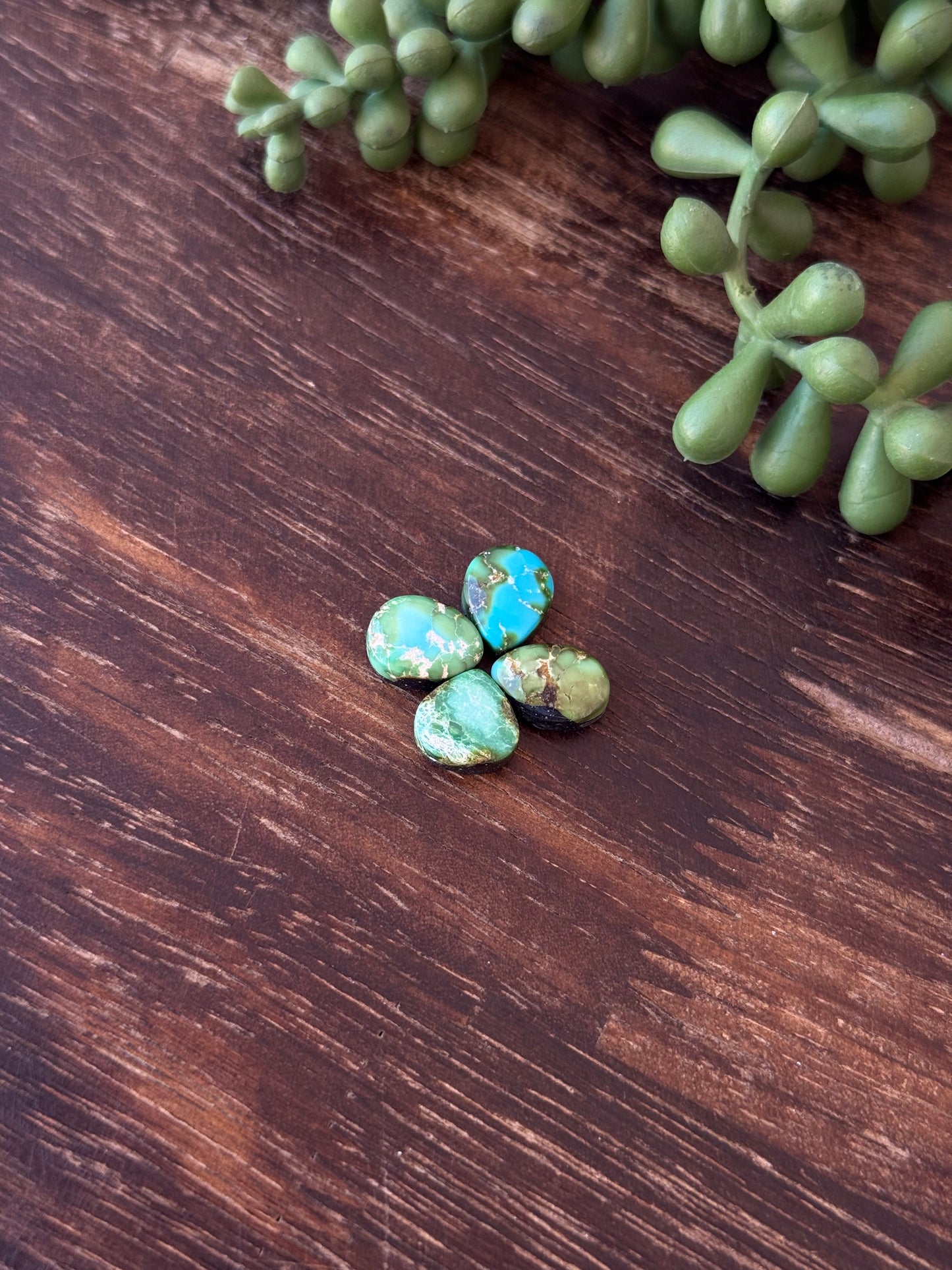 Sonoran Mountain Turquoise Cabs