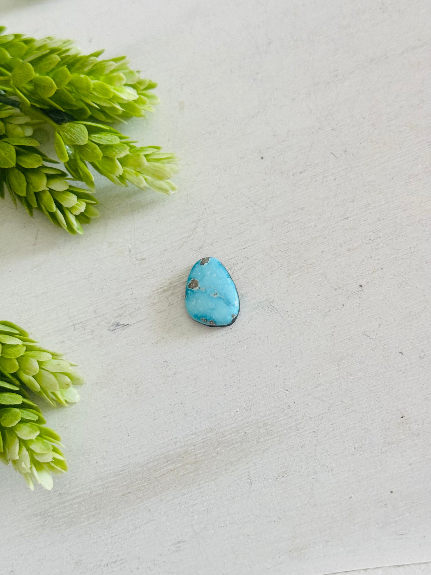 Blue Bird Turquoise Cab