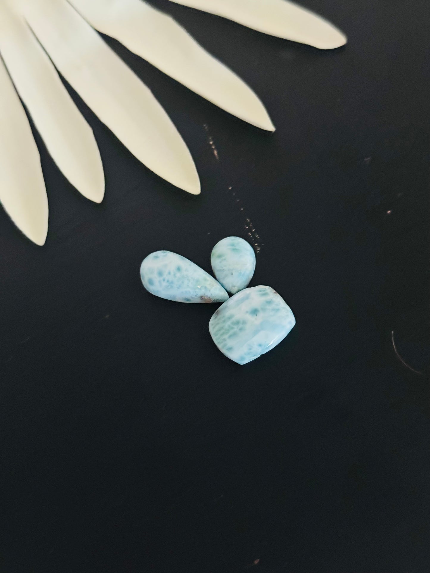Larimar Cabs