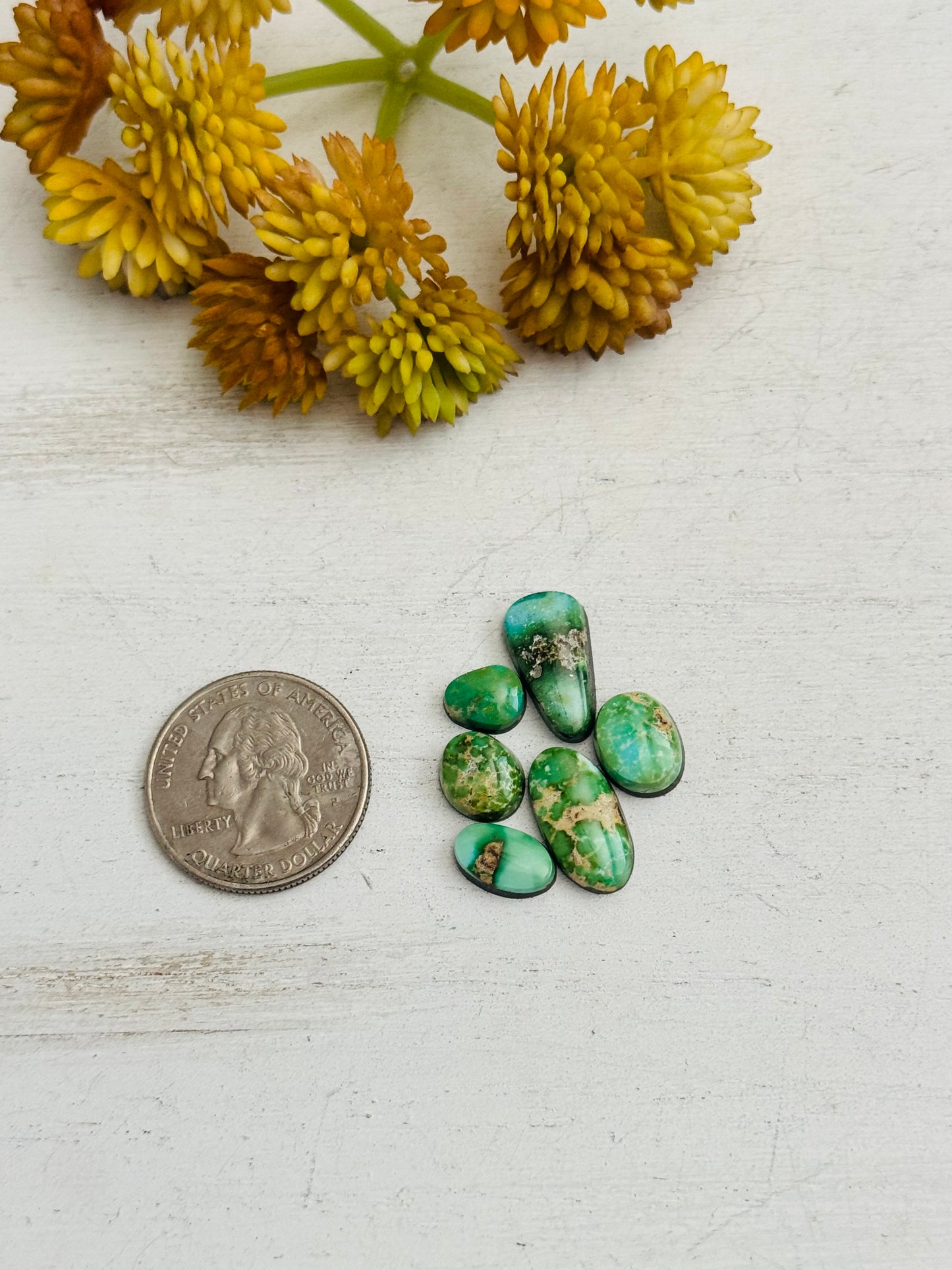 Natural Sonoran Gold Turquoise Cabs