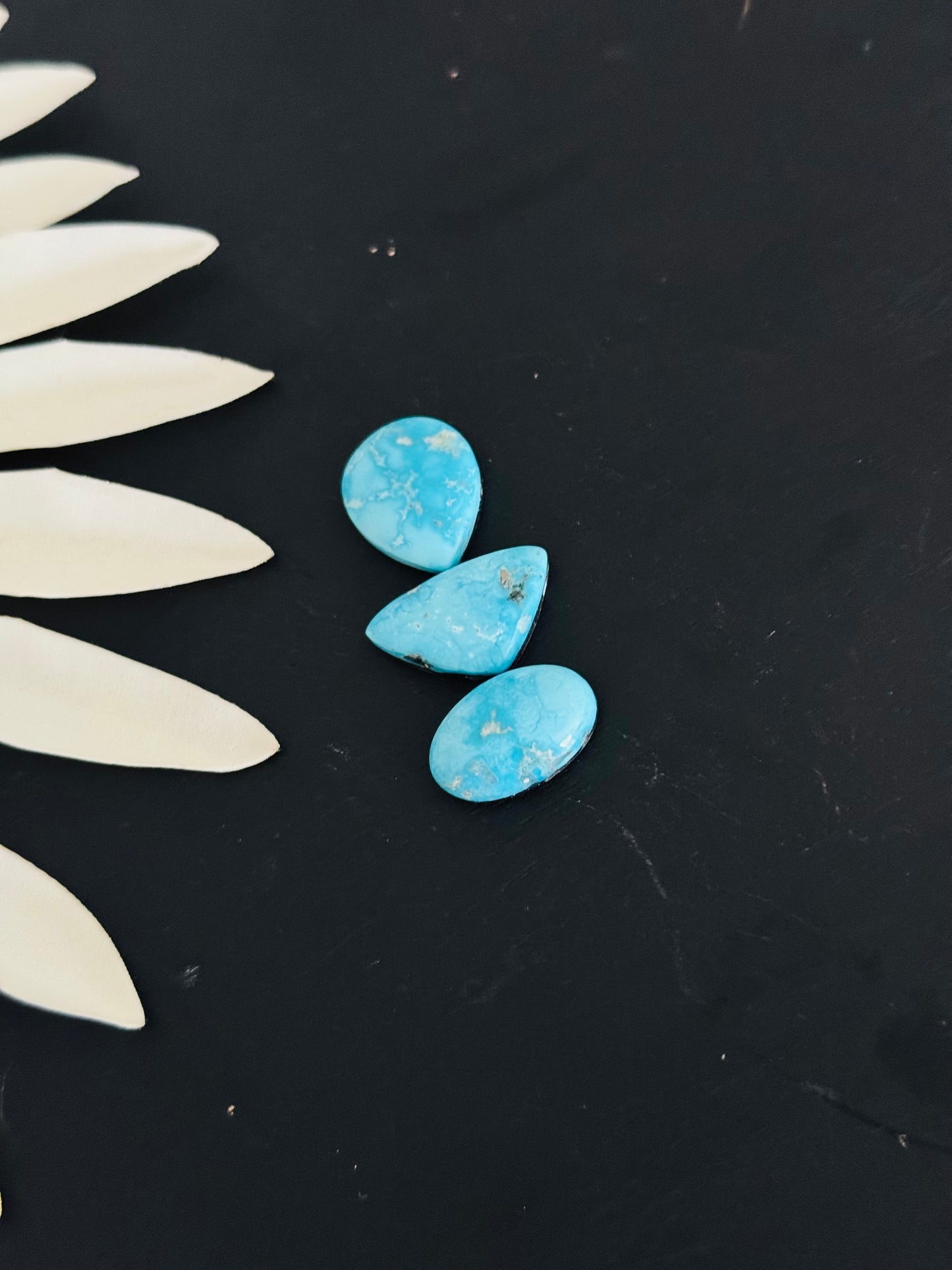 Blue Bird Turquoise Cabs