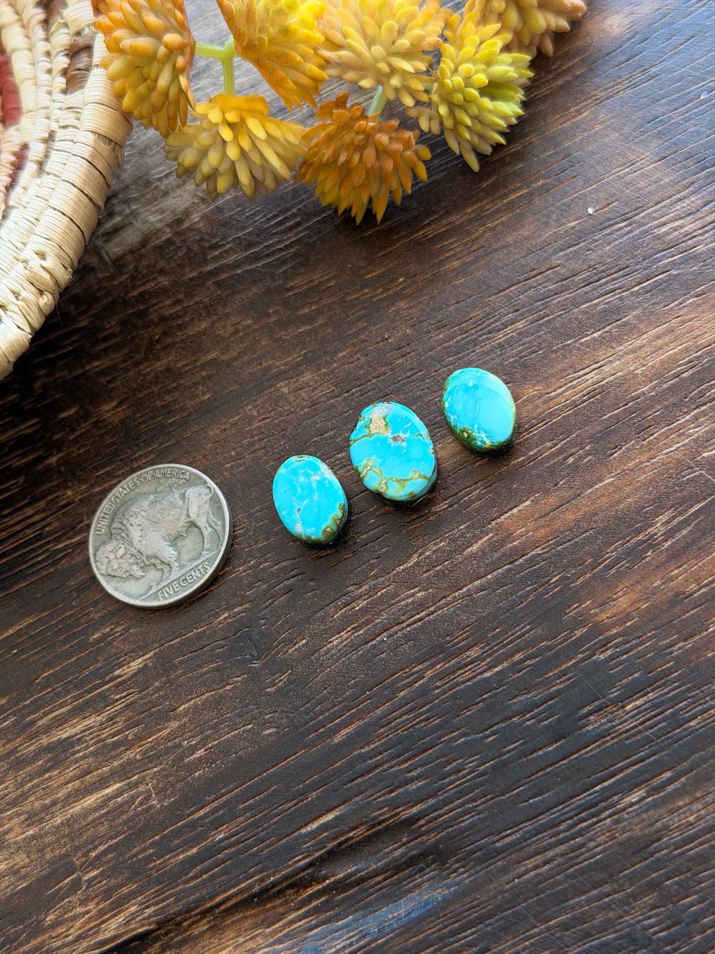Sonoran Mountain Turquoise Cabs