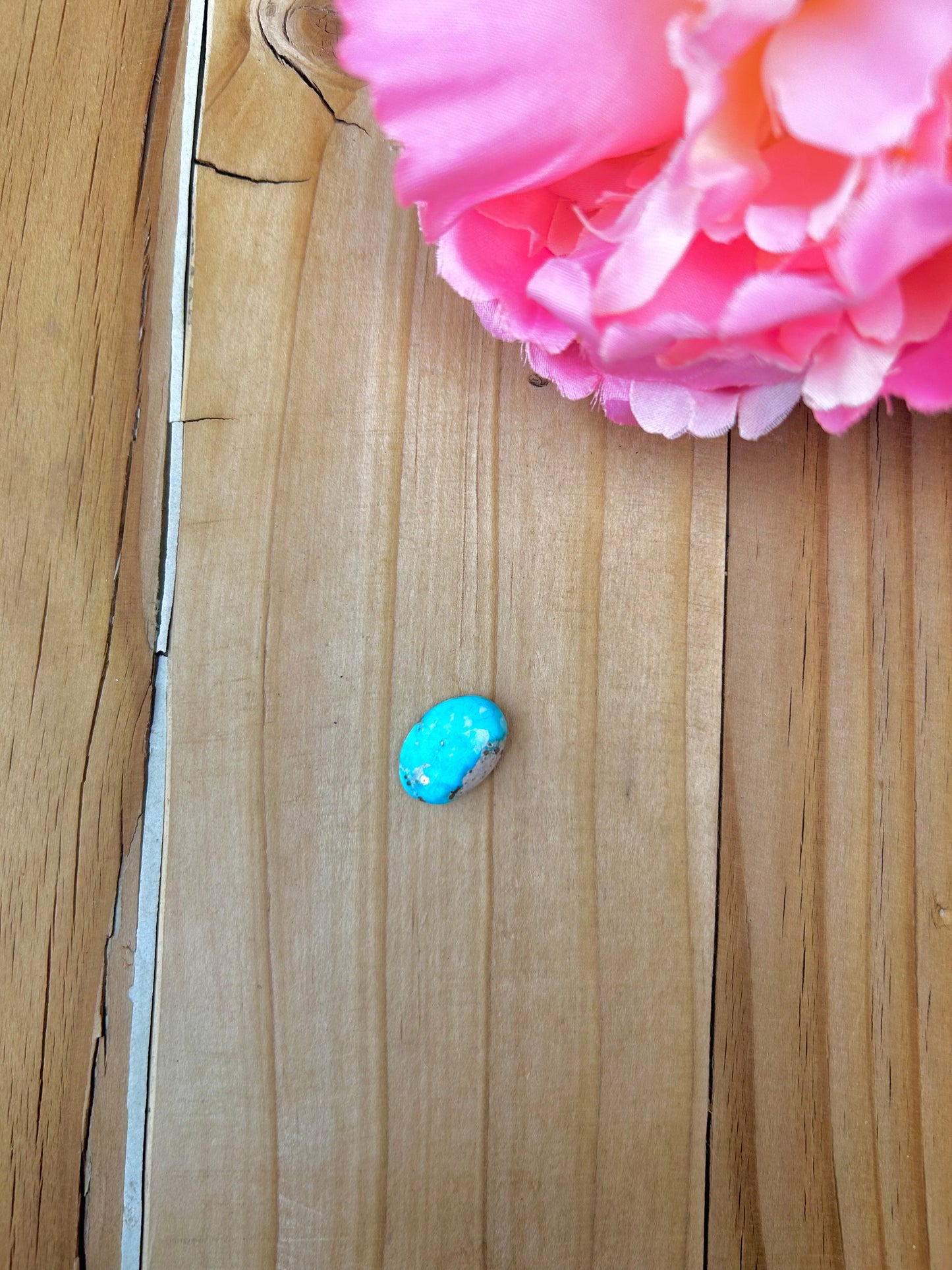 Blue Bird Turquoise Cabs