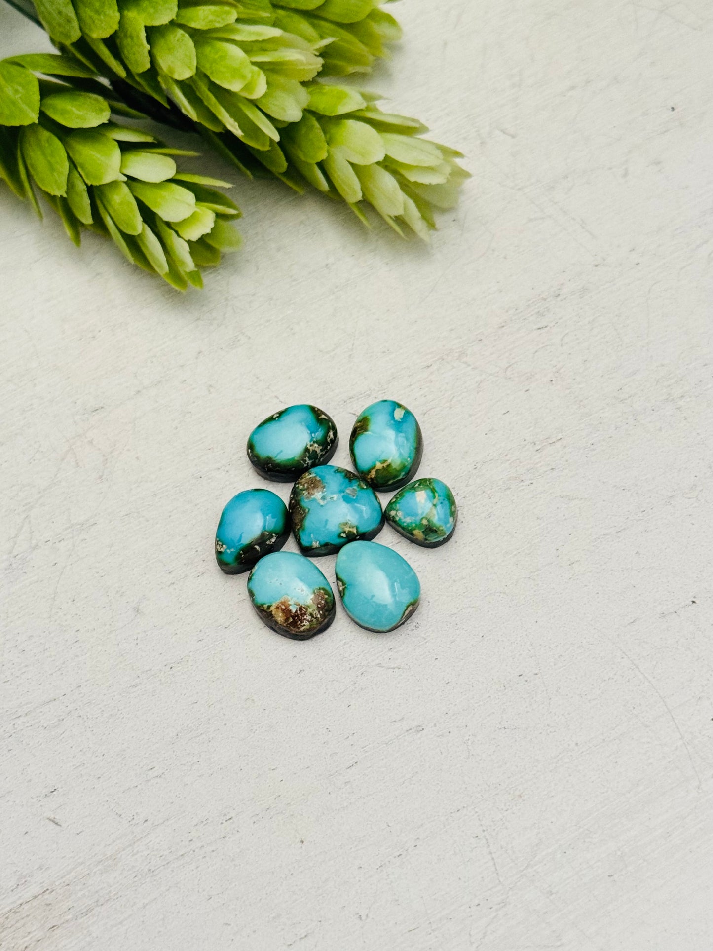 Sonoran Mountain Turquoise Backed Cabs