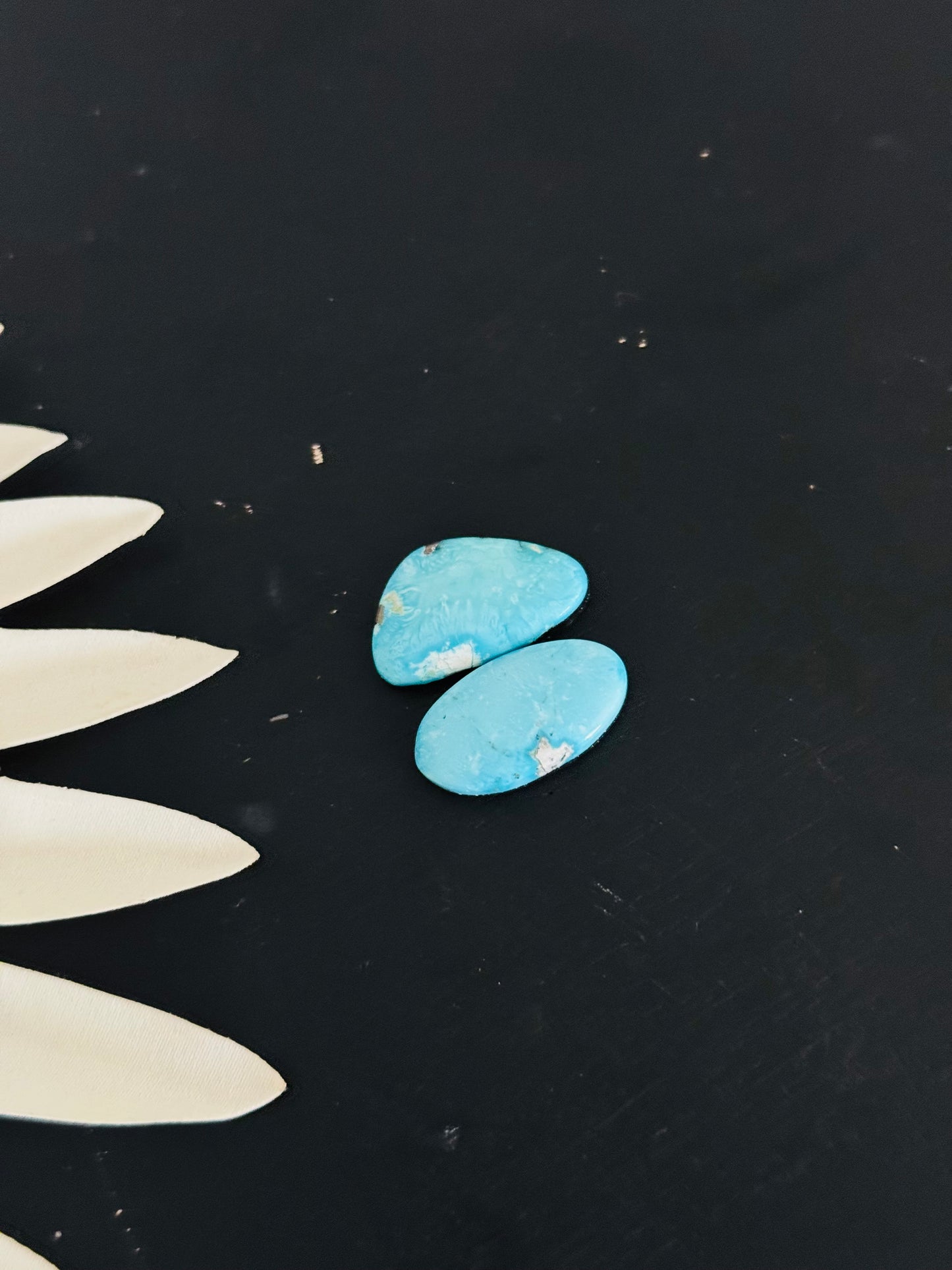 Blue Bird Turquoise Cabs