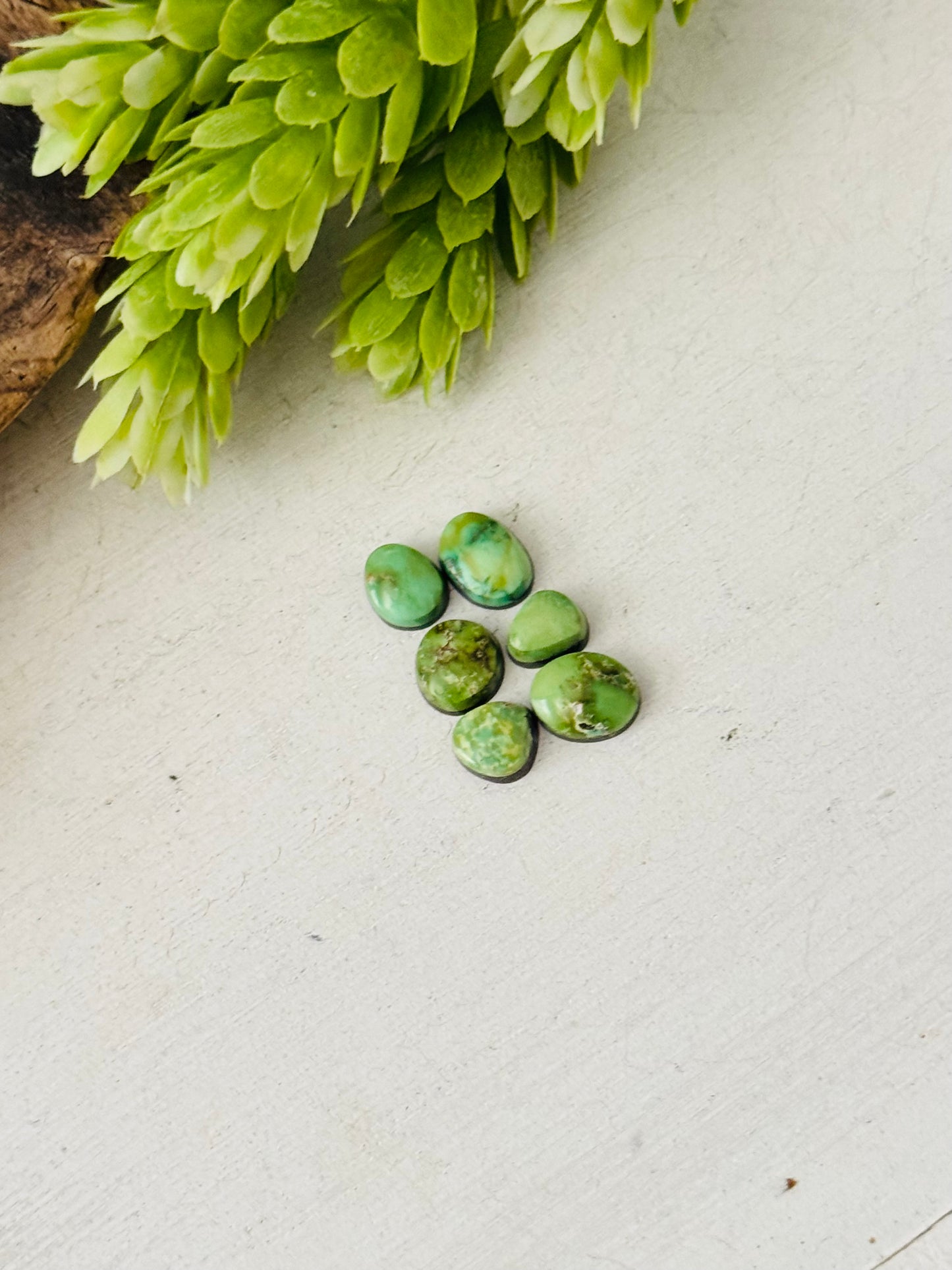 Natural Sonoran Gold Turquoise Cabs