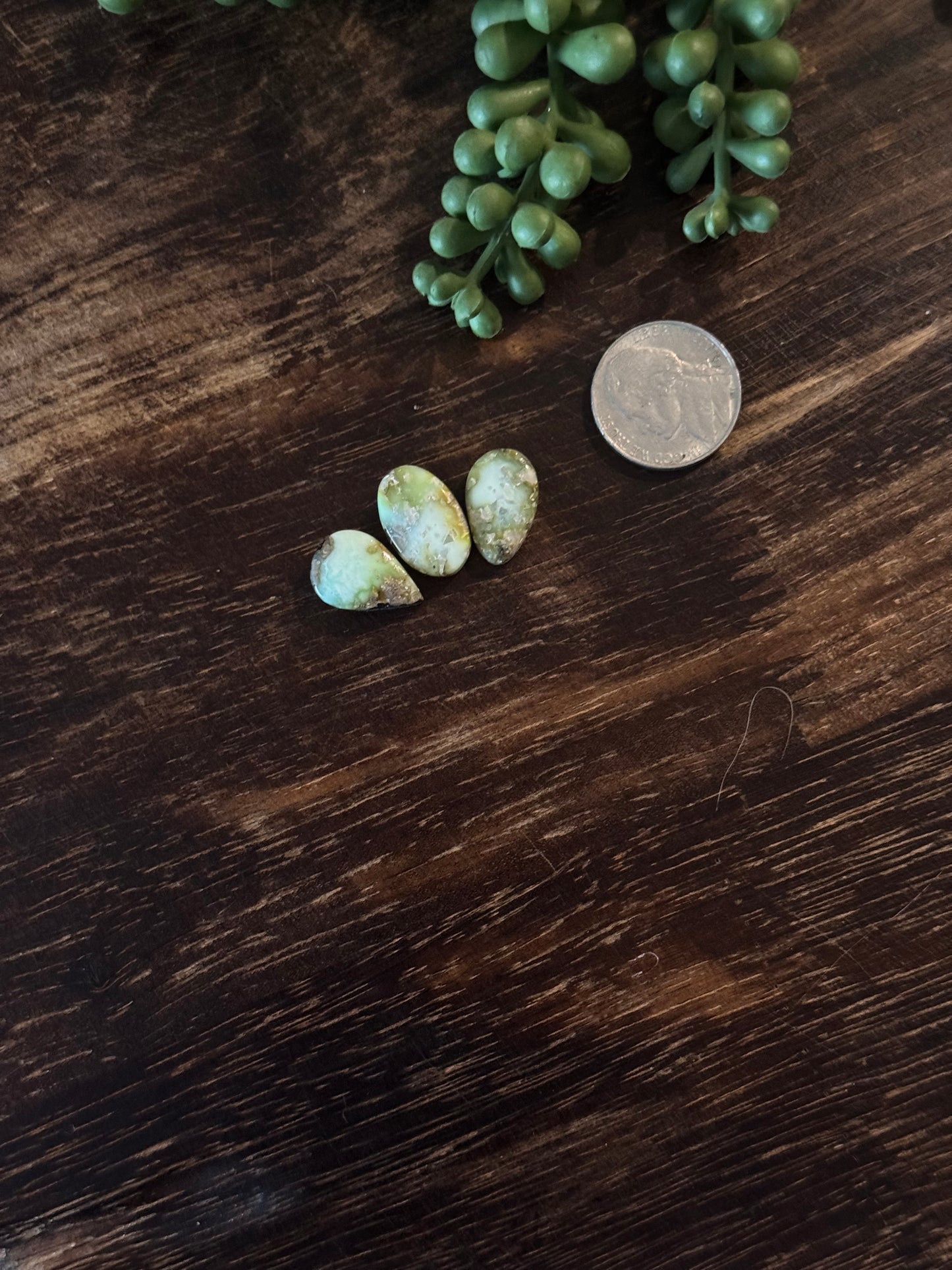 Palomino Variscite Cabs