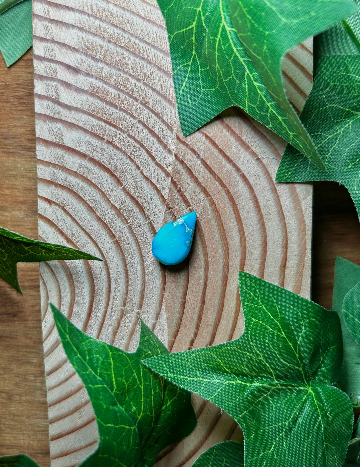 Blue Bird Turquoise Cabs
