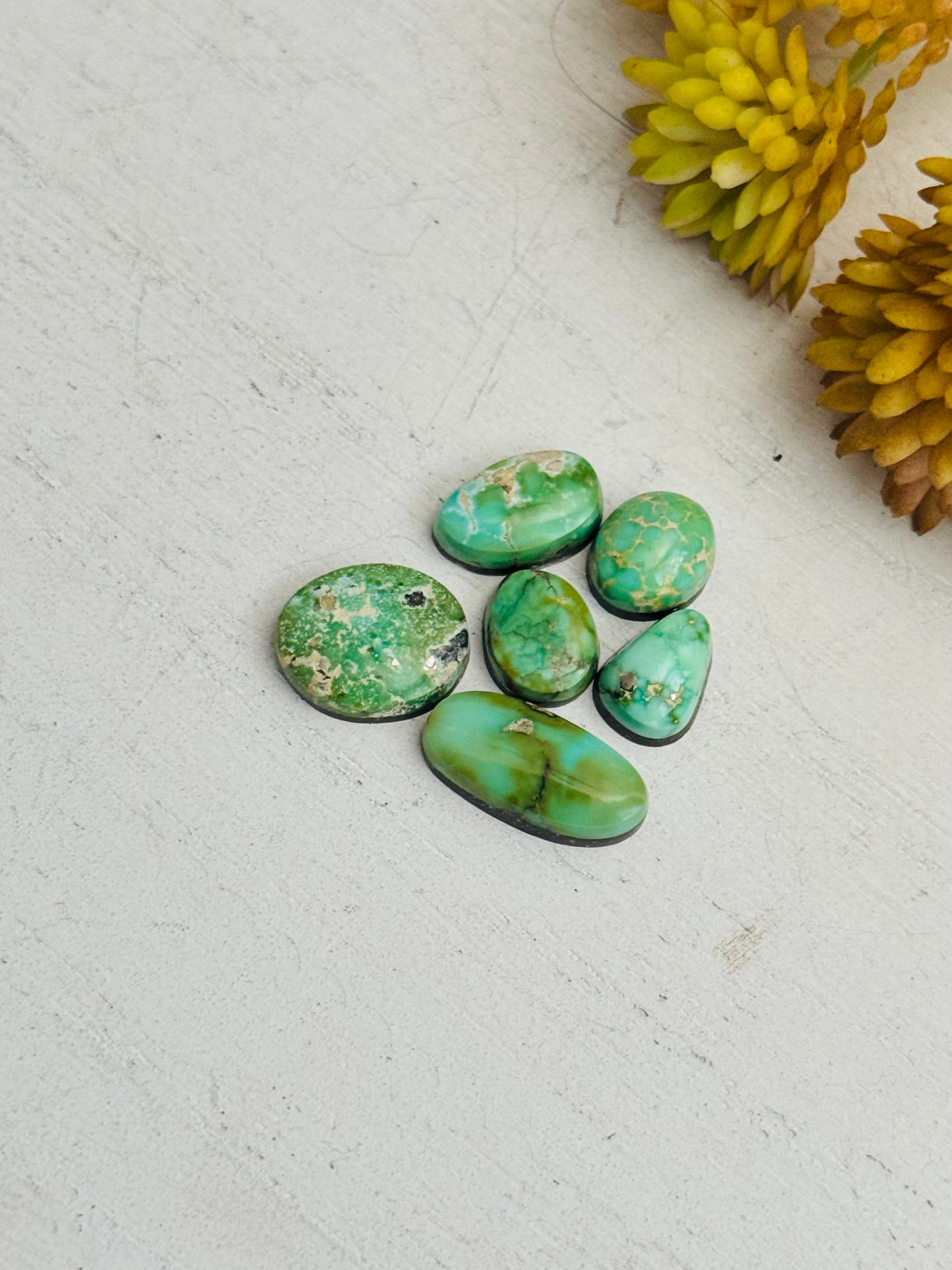 Natural Sonoran Gold Turquoise Cabs