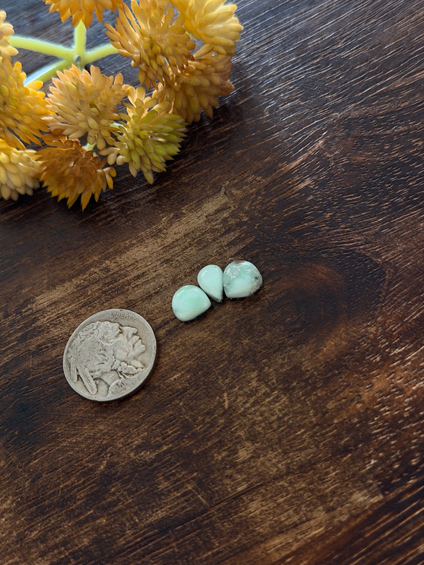 Paloma Variscite Cabs