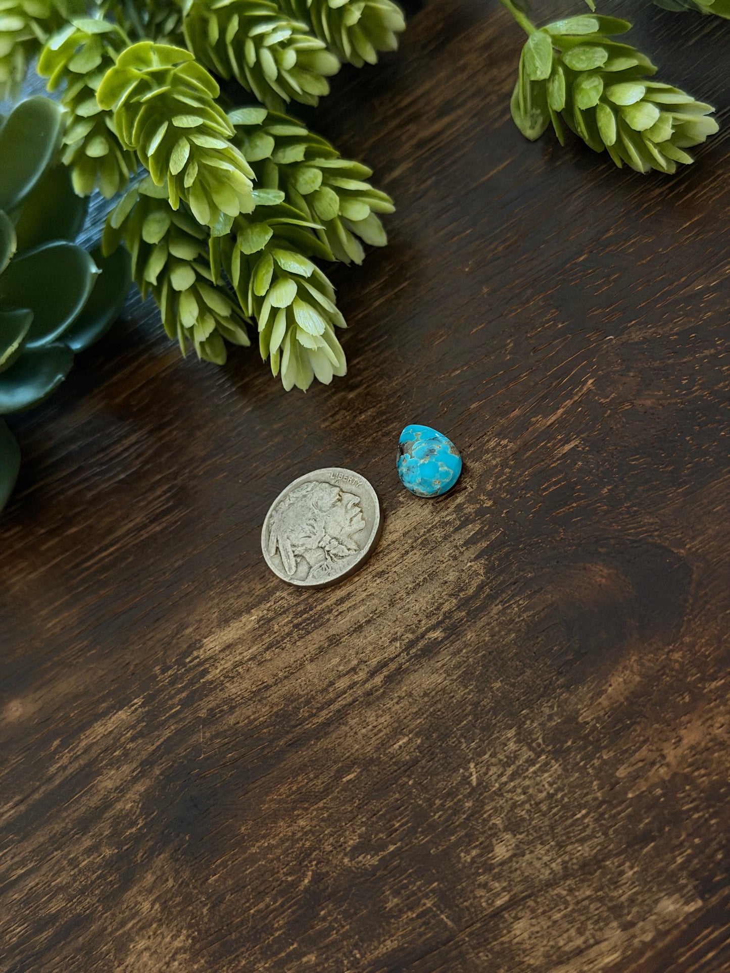 Blue Bird Turquoise Cab