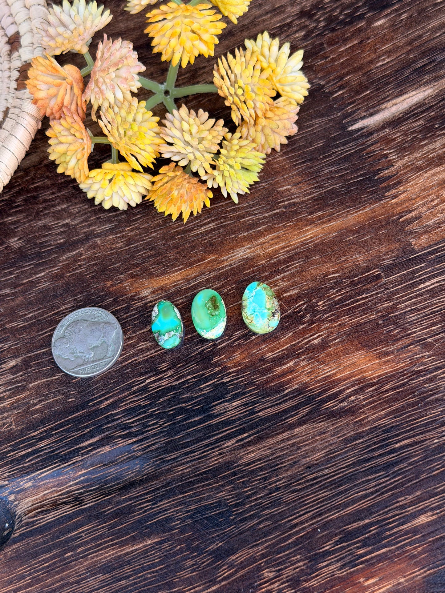 Sonoran Mountain Turquoise Cabs