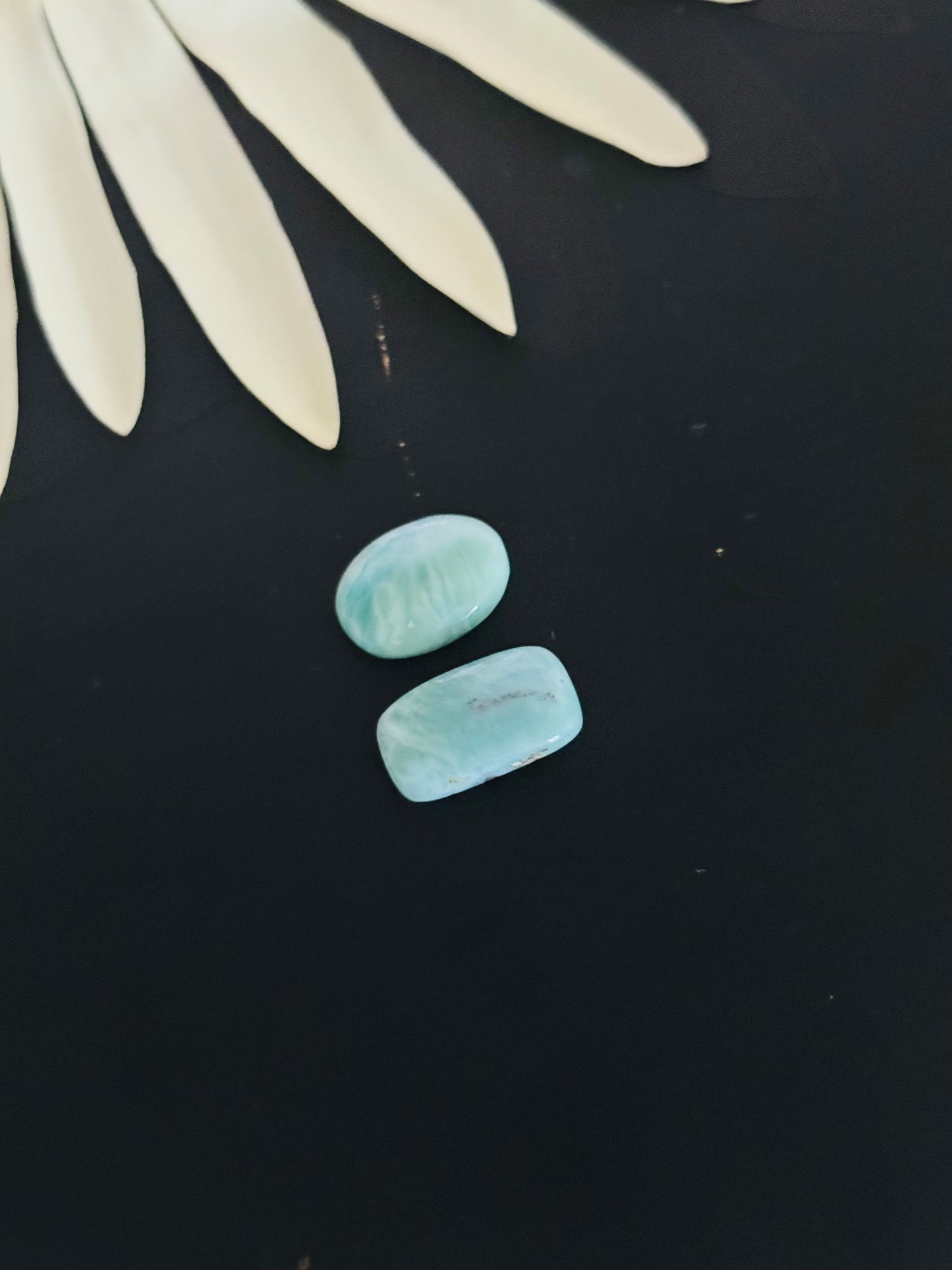 Larimar Cabs